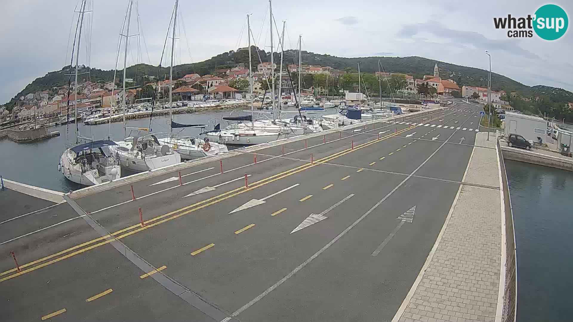 Dalmazia traghetto Tkon – webcam Croazia