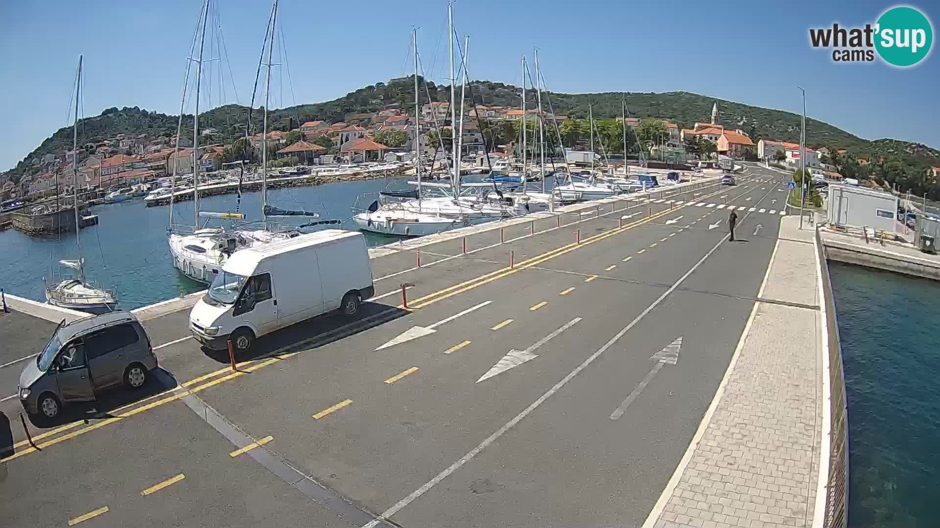Dalmazia traghetto Tkon – webcam Croazia