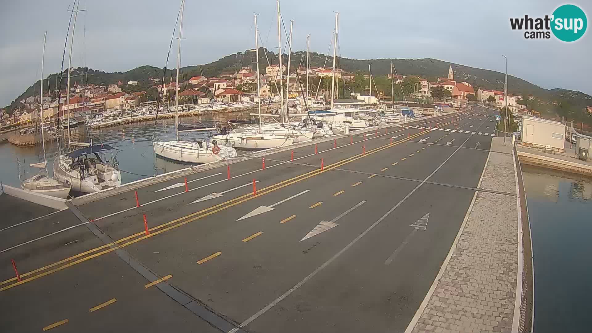 Dalmazia traghetto Tkon – webcam Croazia
