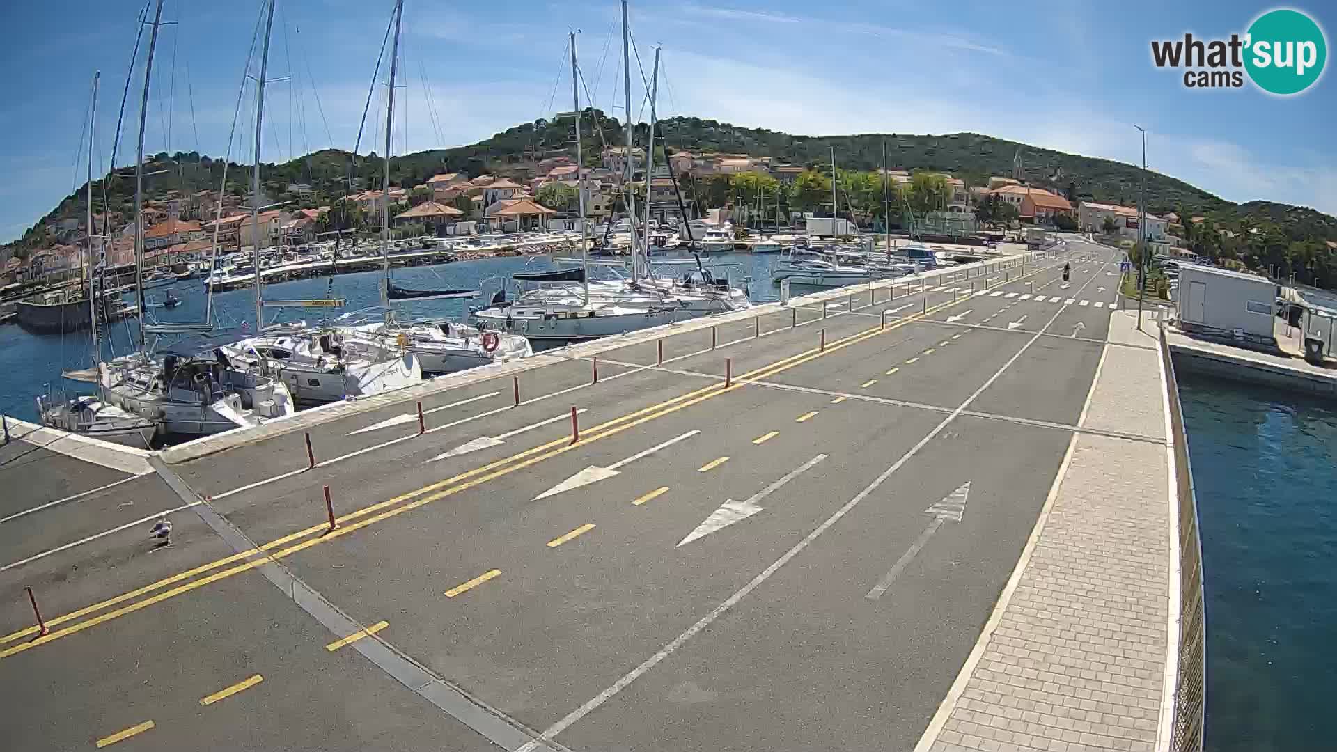 Dalmatia Tkon Ferry – webcams Croatia
