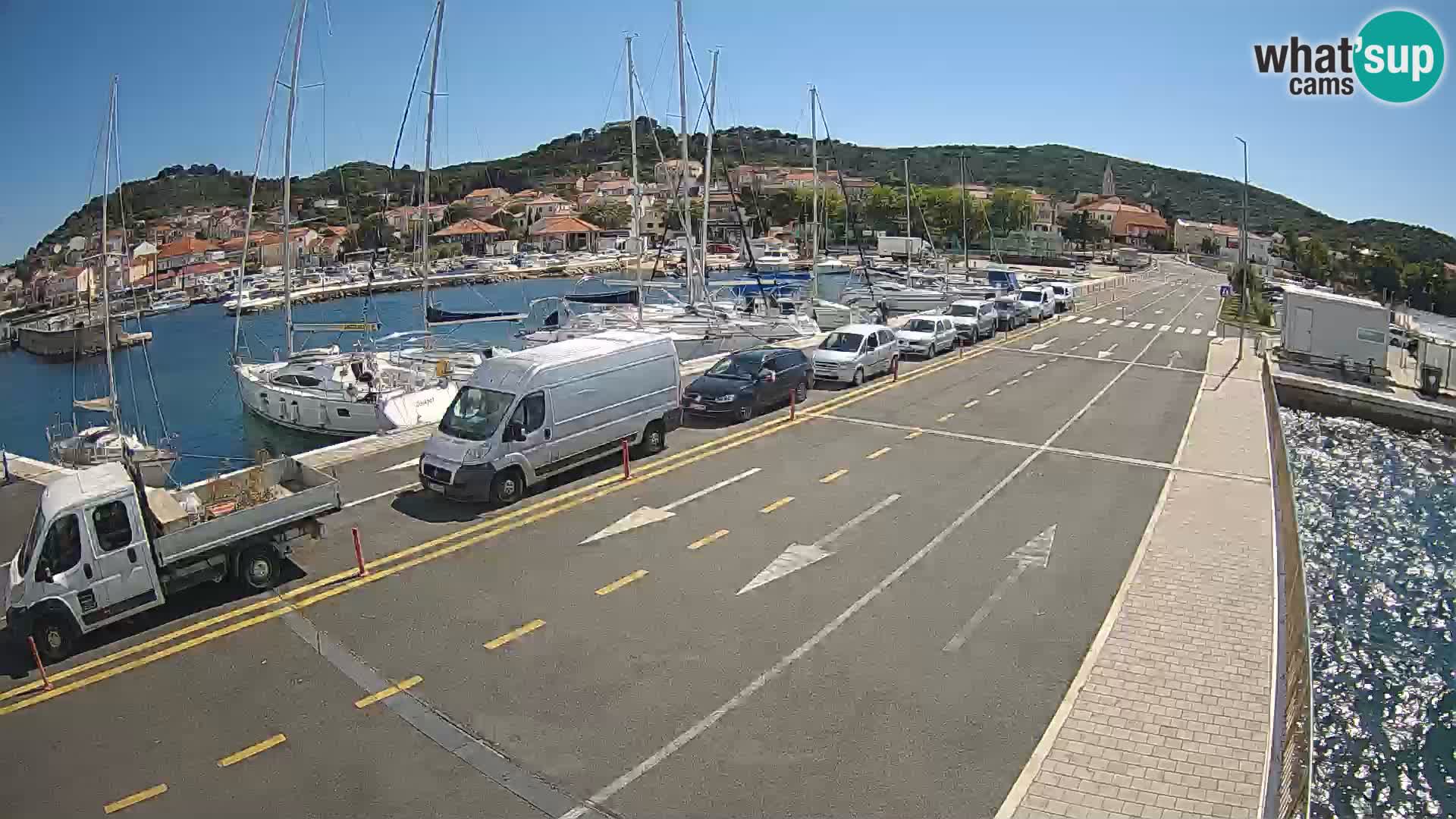 Dalmazia traghetto Tkon – webcam Croazia