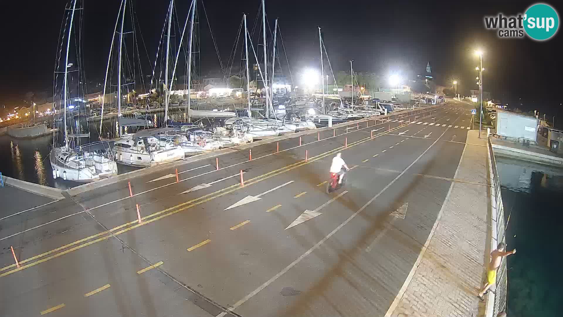 Dalmatia Tkon Ferry – webcams Croatia