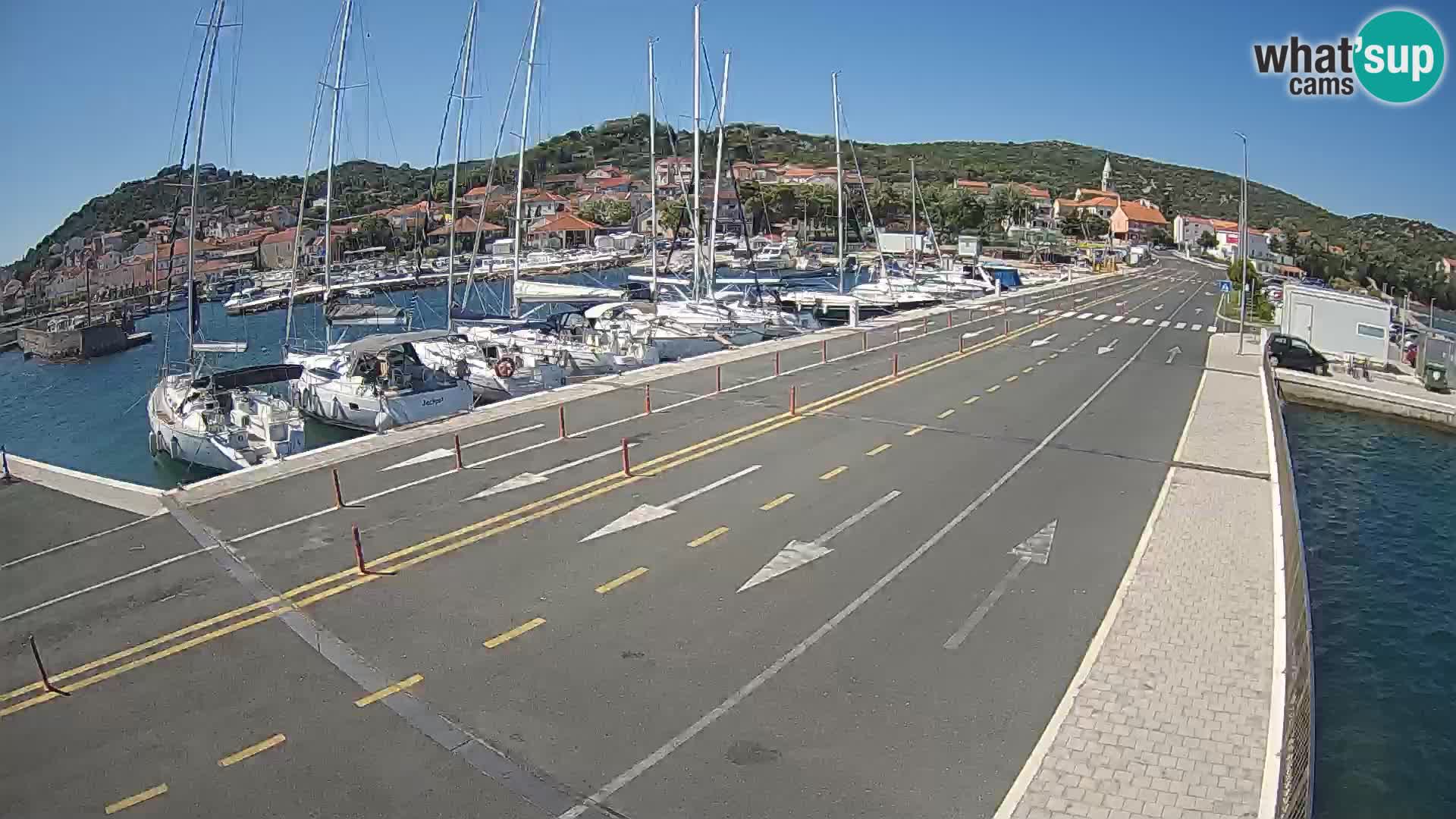 Dalmazia traghetto Tkon – webcam Croazia