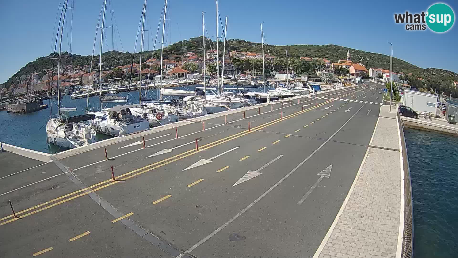 Dalmazia traghetto Tkon – webcam Croazia