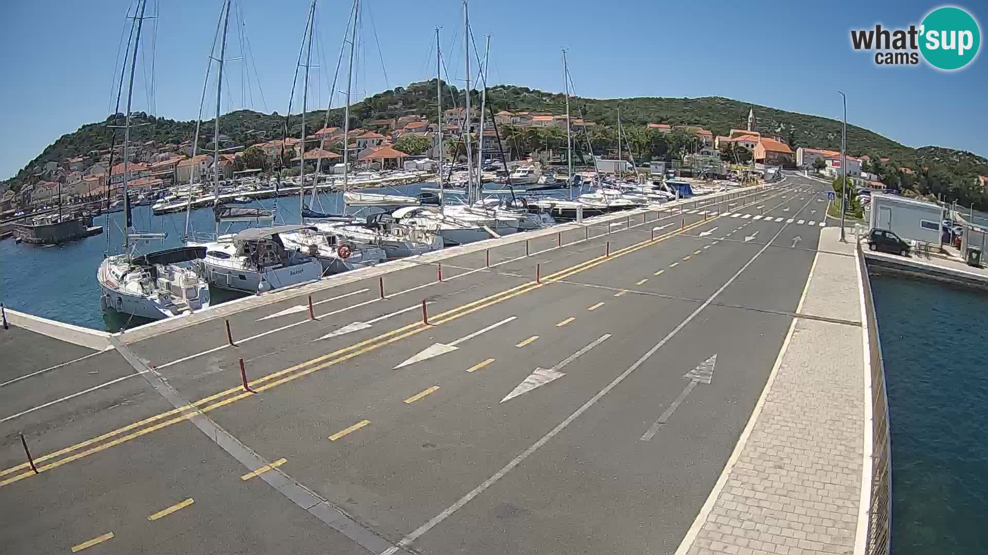 Dalmazia traghetto Tkon – webcam Croazia