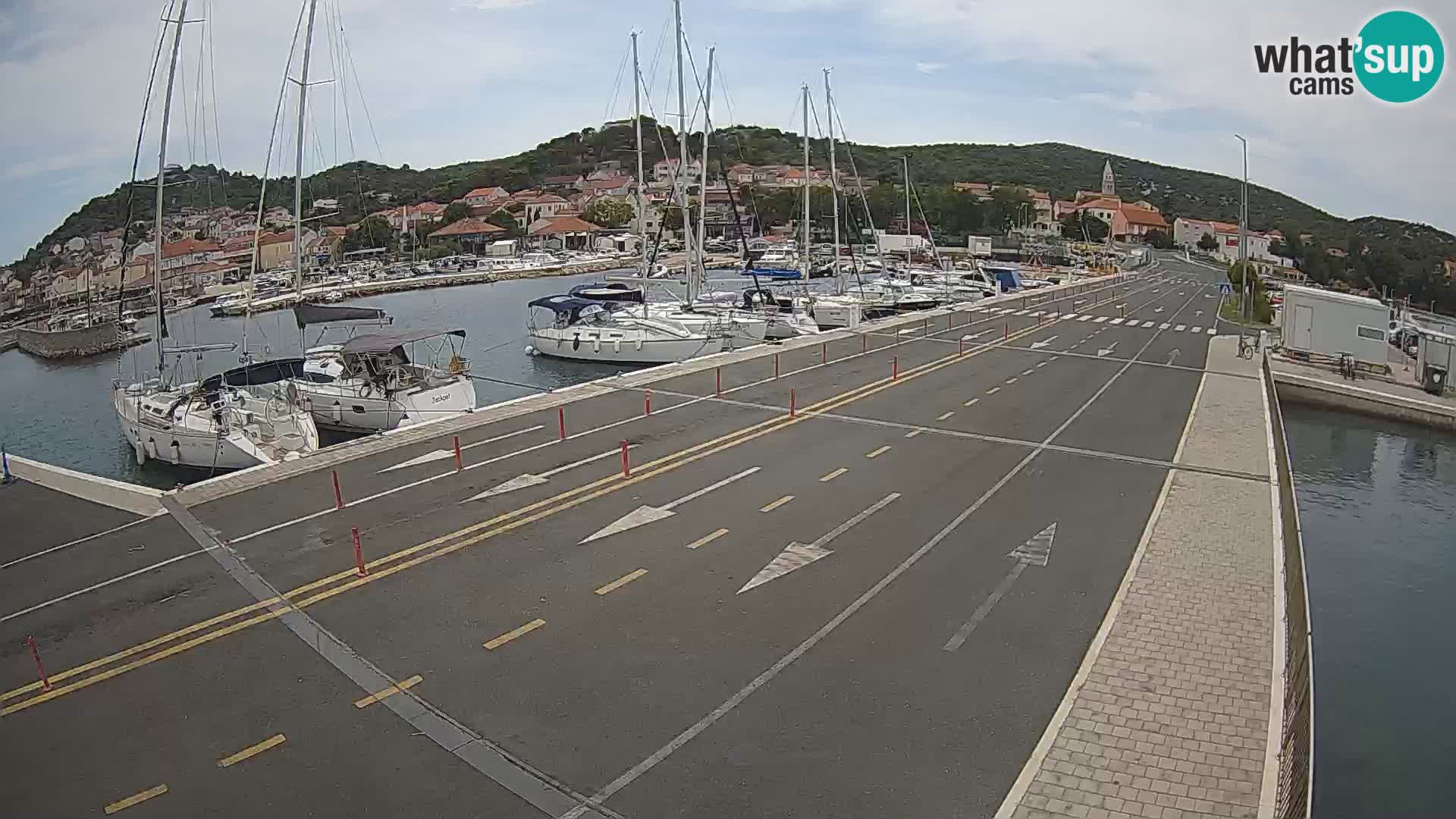 Dalmazia traghetto Tkon – webcam Croazia