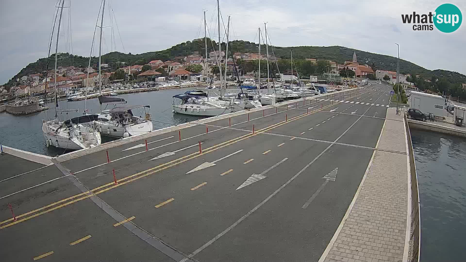 Dalmazia traghetto Tkon – webcam Croazia