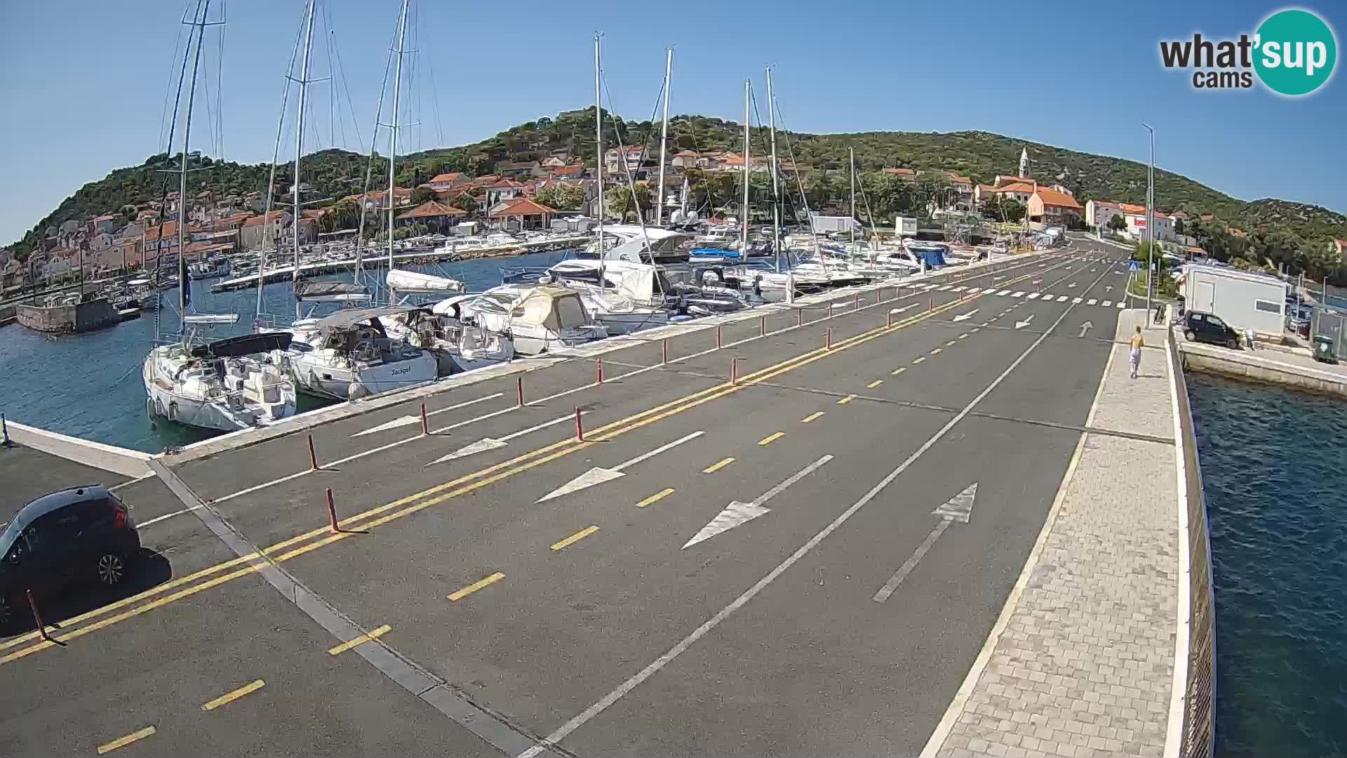 Dalmazia traghetto Tkon – webcam Croazia