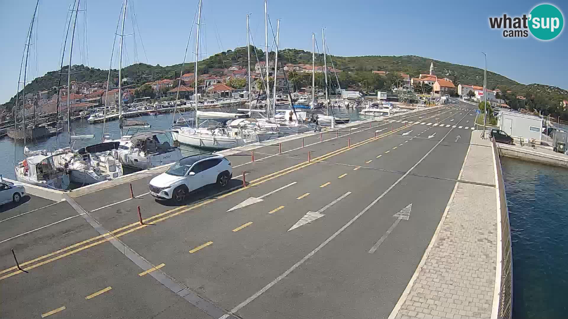 Dalmazia traghetto Tkon – webcam Croazia