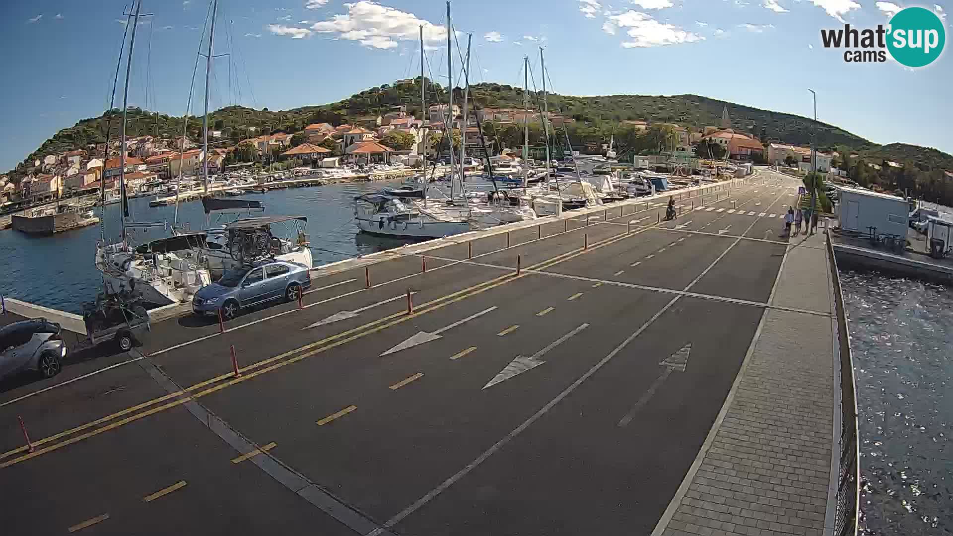 Dalmazia traghetto Tkon – webcam Croazia