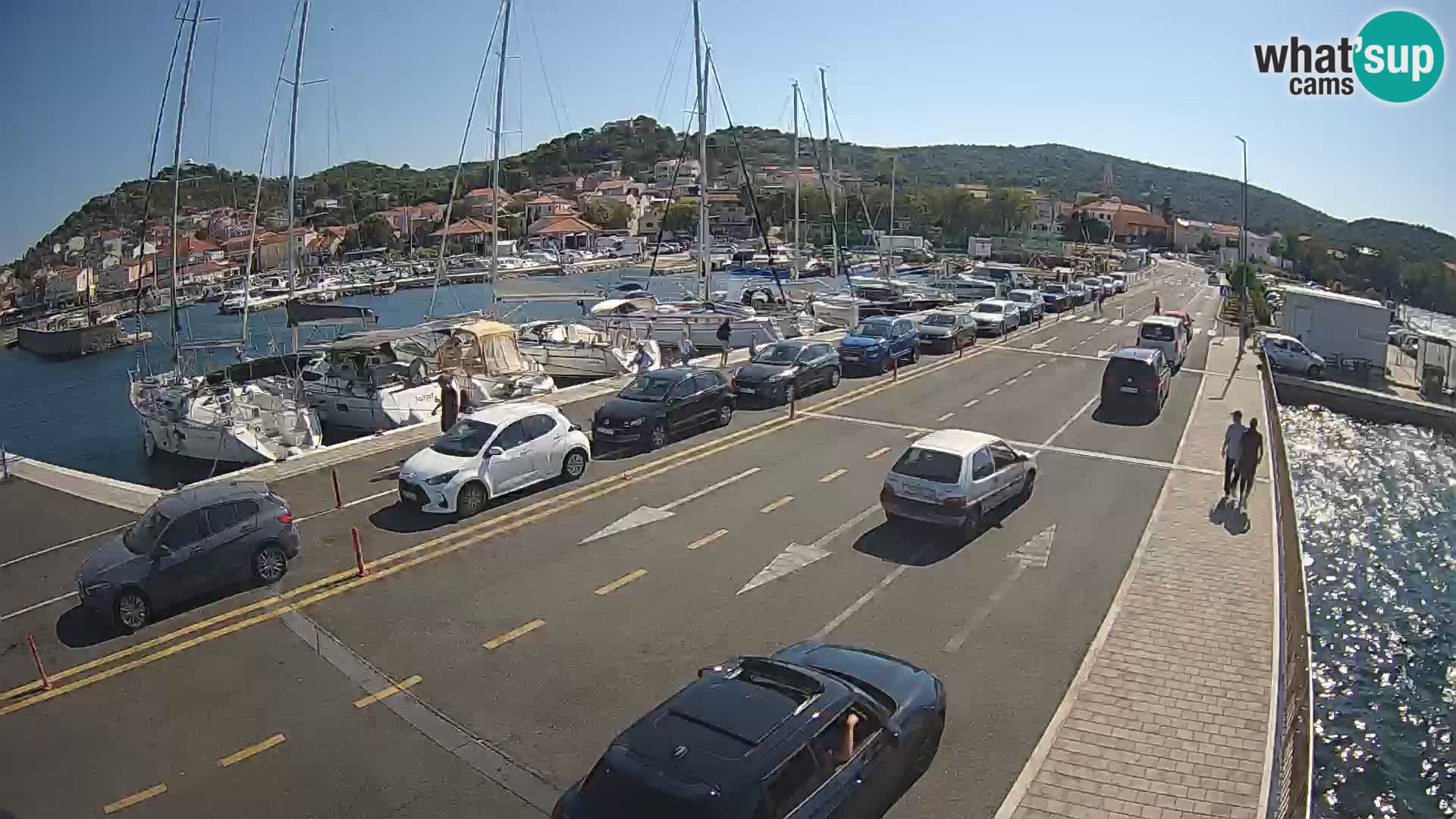 Dalmazia traghetto Tkon – webcam Croazia