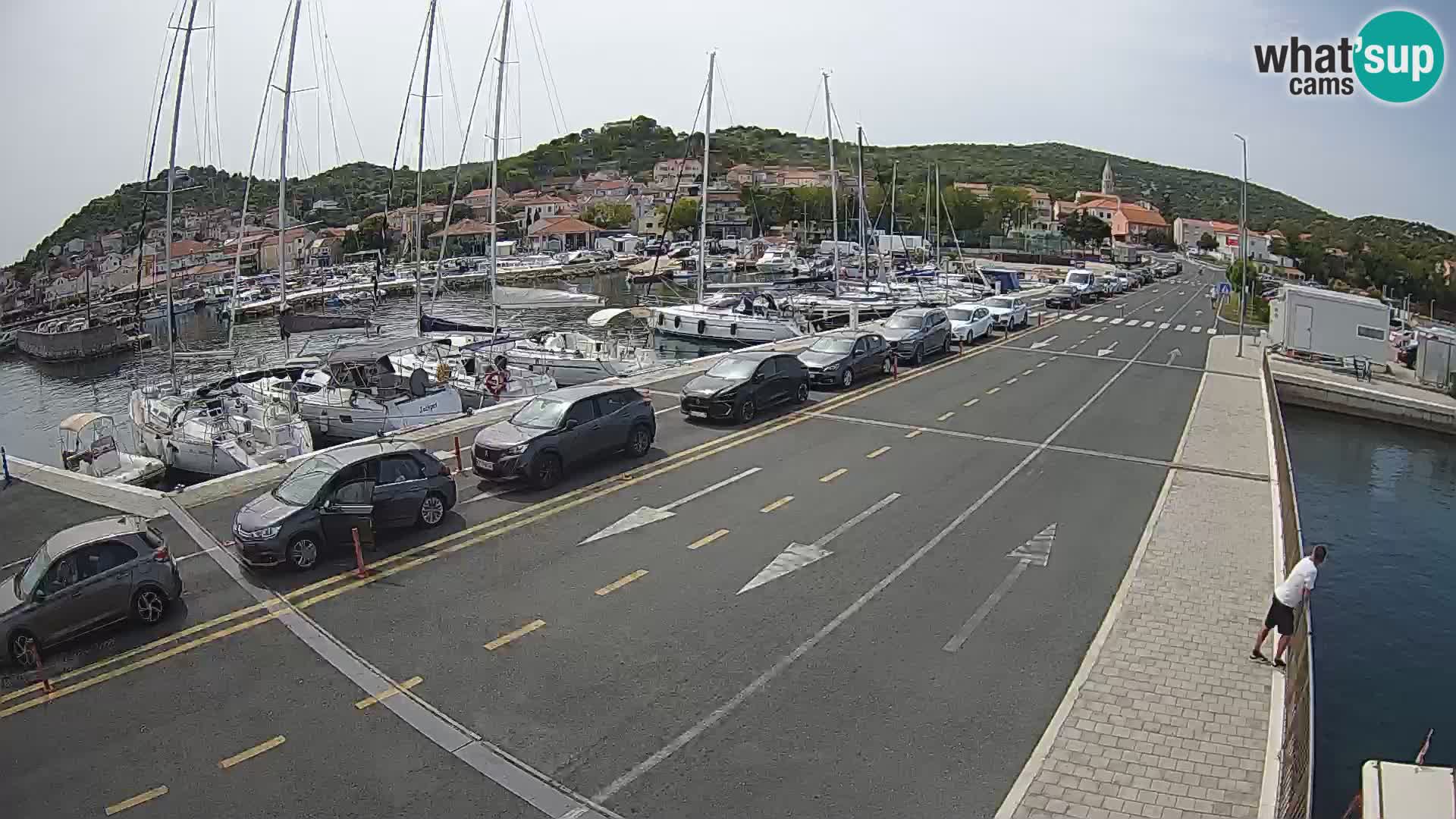 Dalmazia traghetto Tkon – webcam Croazia