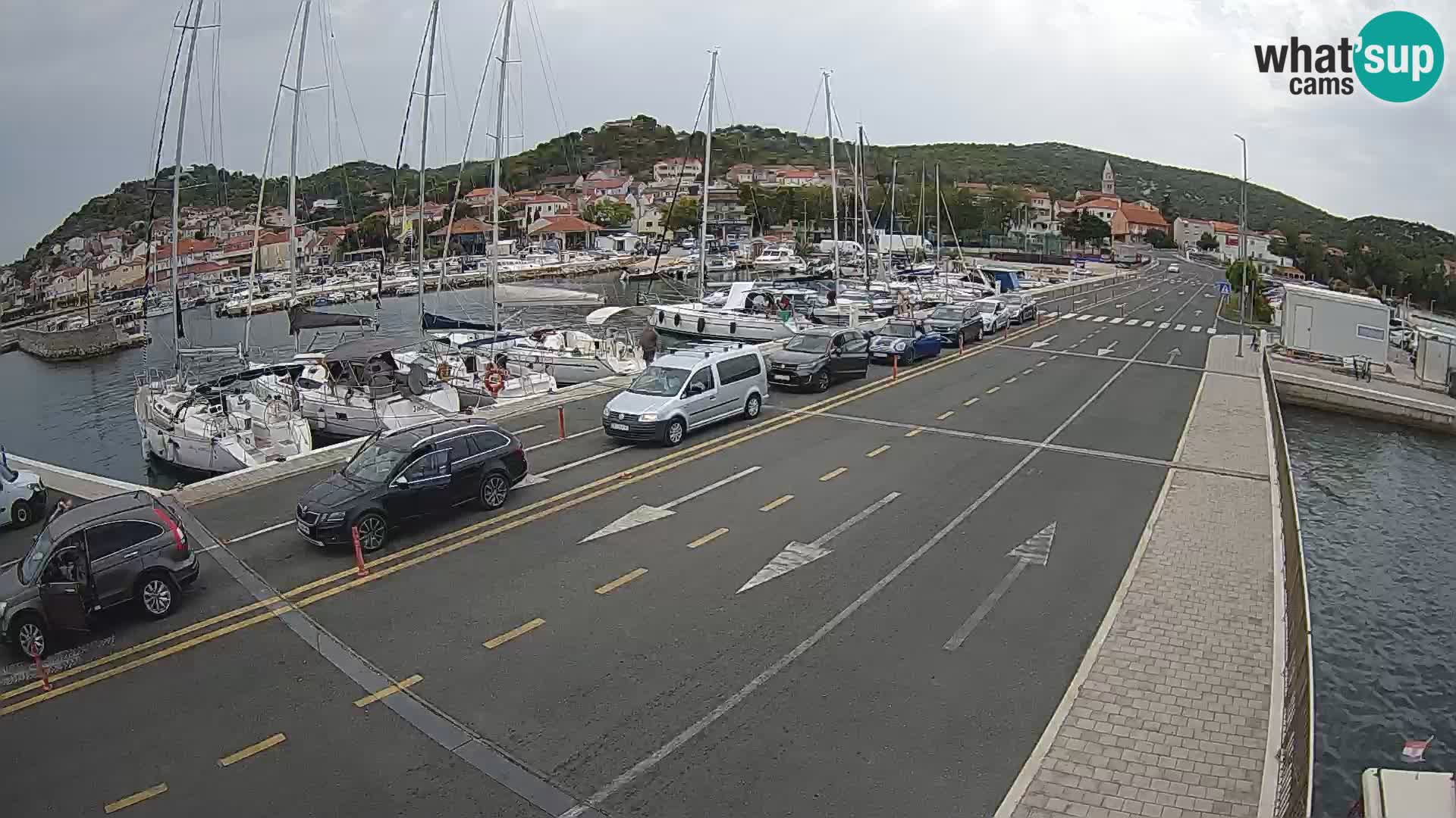 Dalmazia traghetto Tkon – webcam Croazia