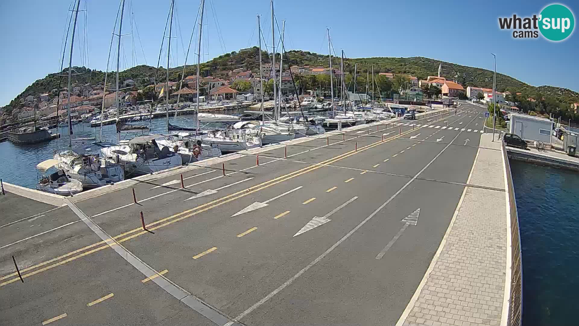 Dalmazia traghetto Tkon – webcam Croazia