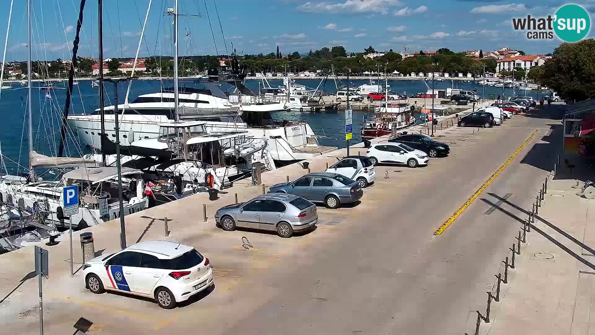 Webcam live Umag – Hafen