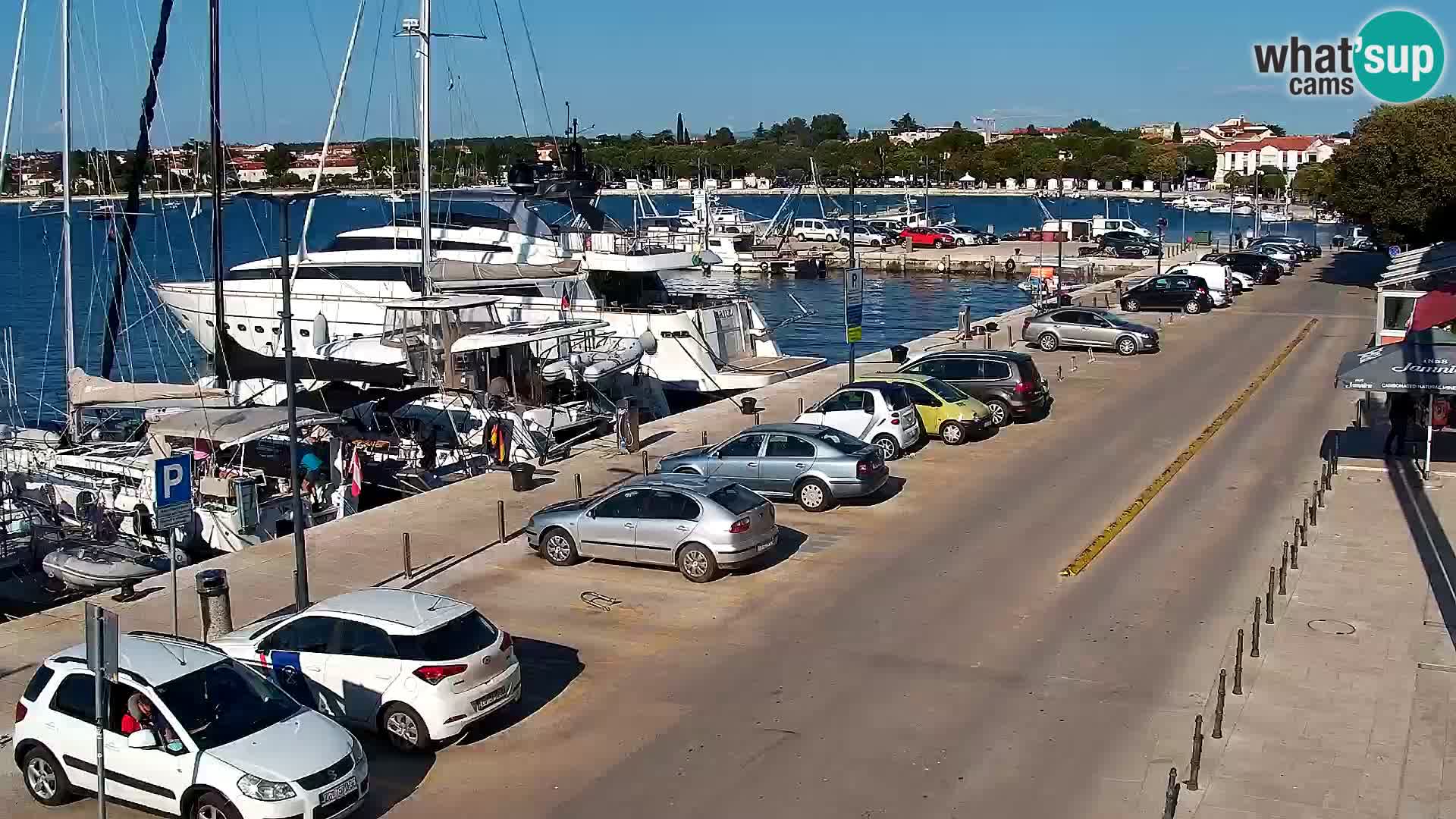 Trg Svobode – Kamera u živo Umag