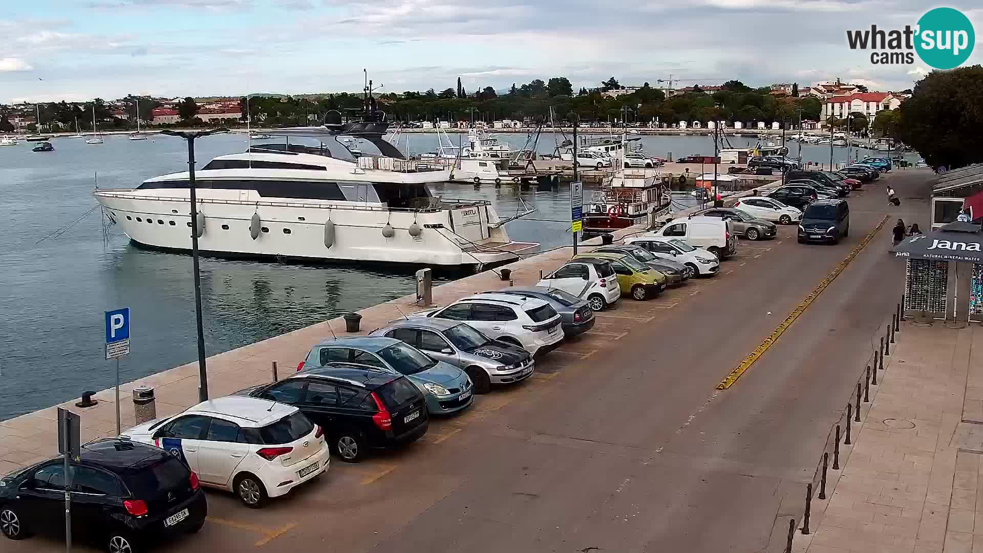 Webcam Umag – Puerto