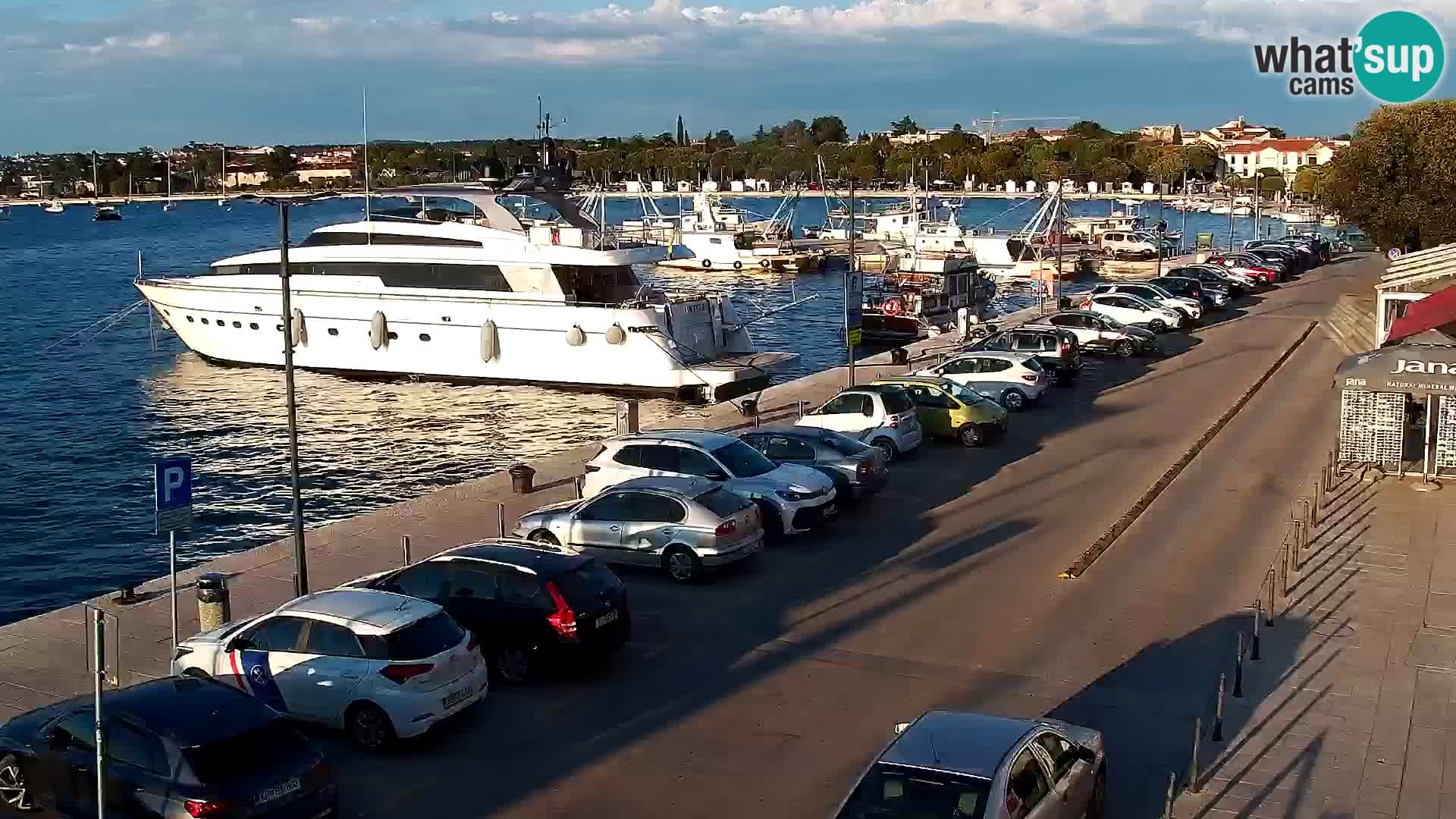 Trg Svobode – Kamera u živo Umag
