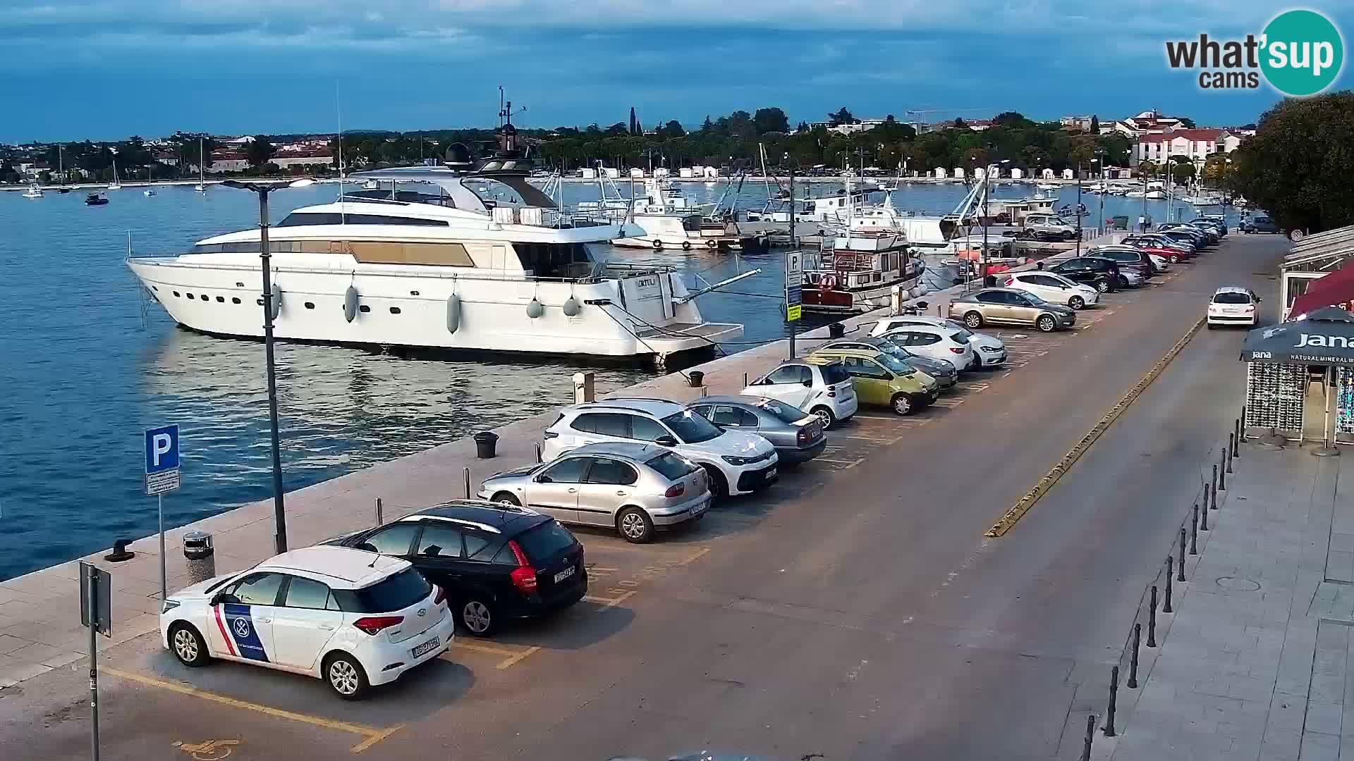Trg Svobode – Kamera u živo Umag