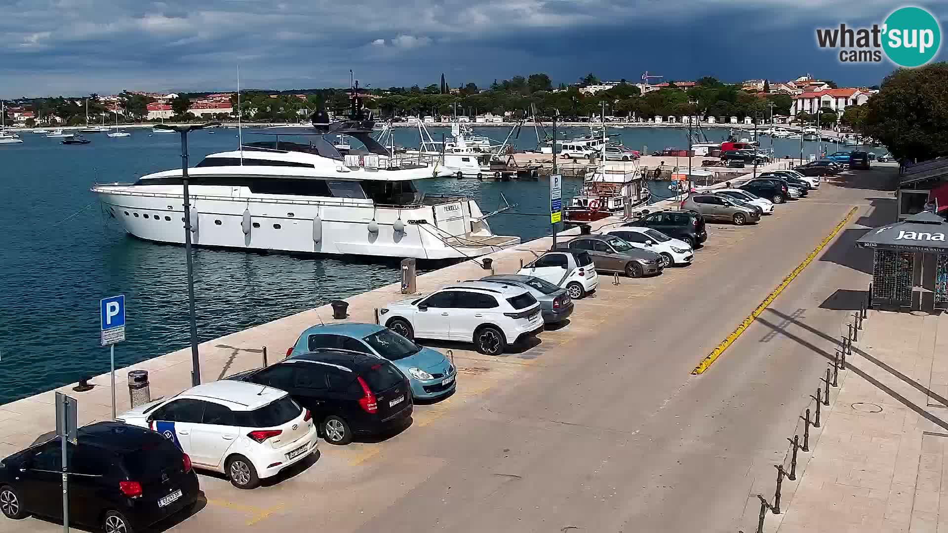 Webcam Umag – Puerto