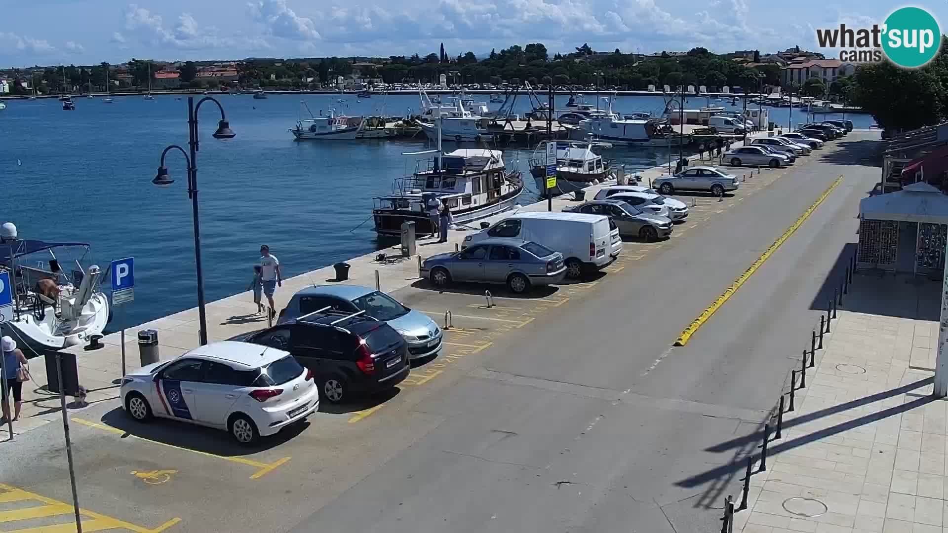 Live webcam Umag – Harbour