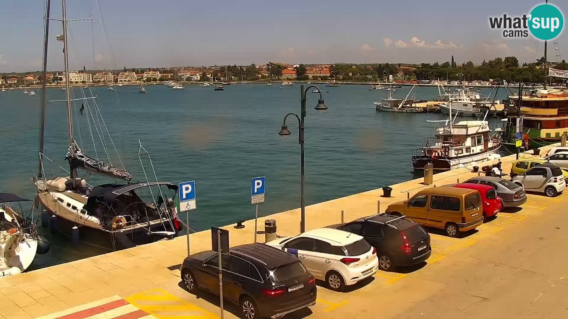 Webcam Umag – Puerto