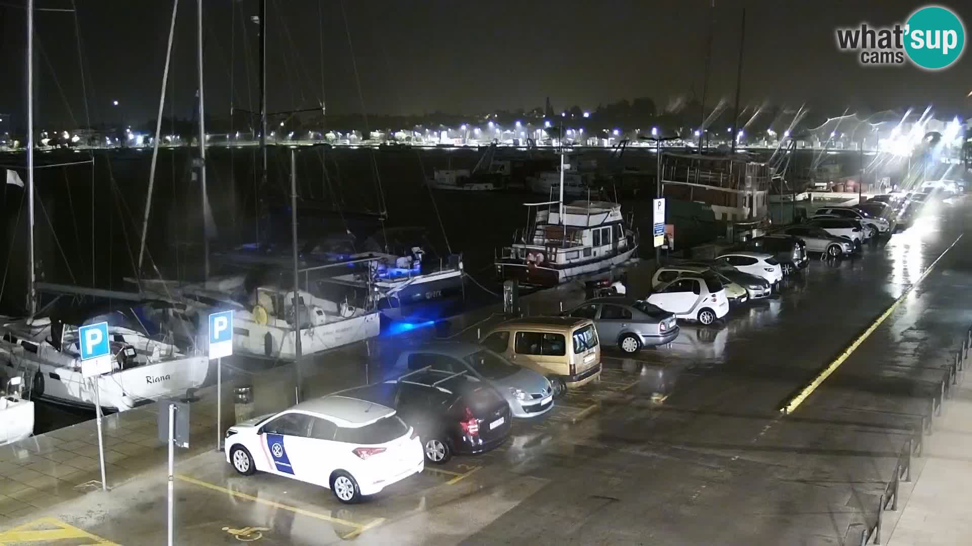 Webcam live Umag – Hafen