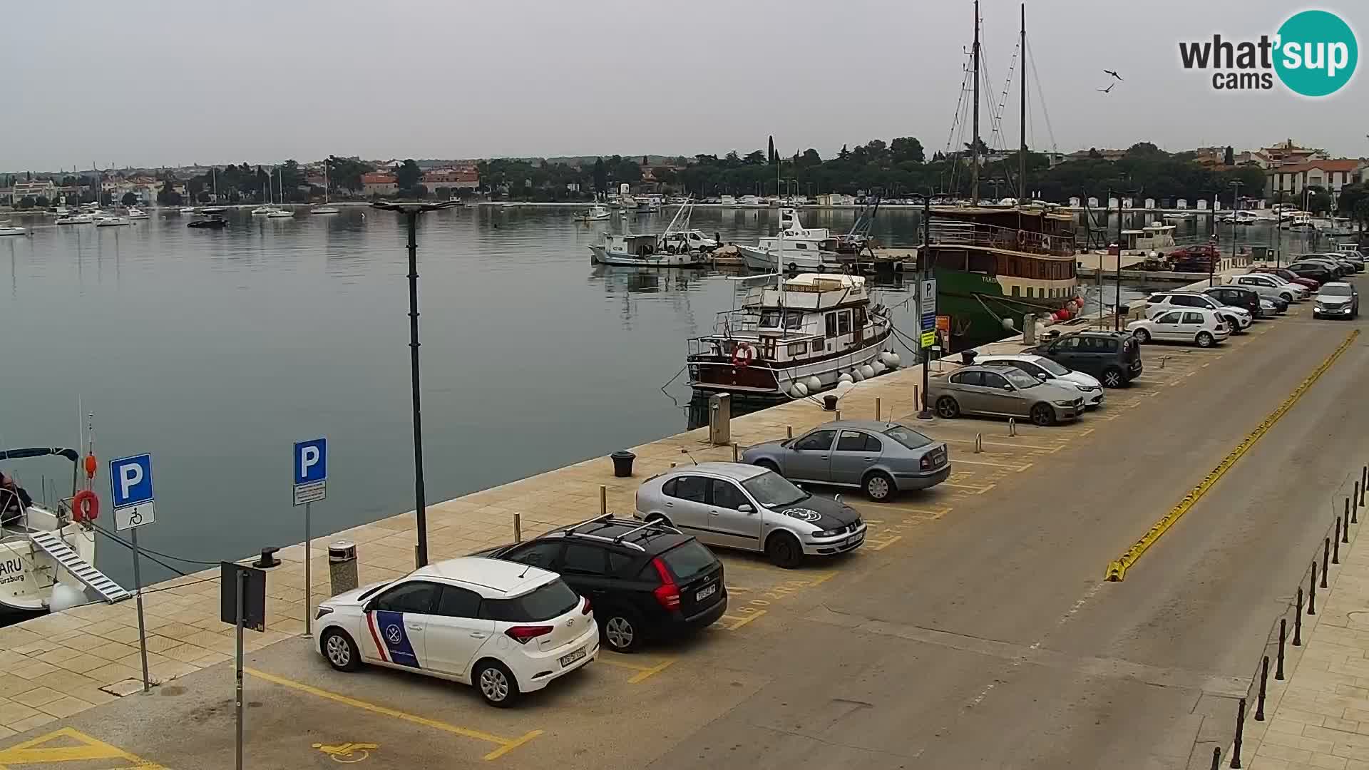 Hauptplatz Umag webcam