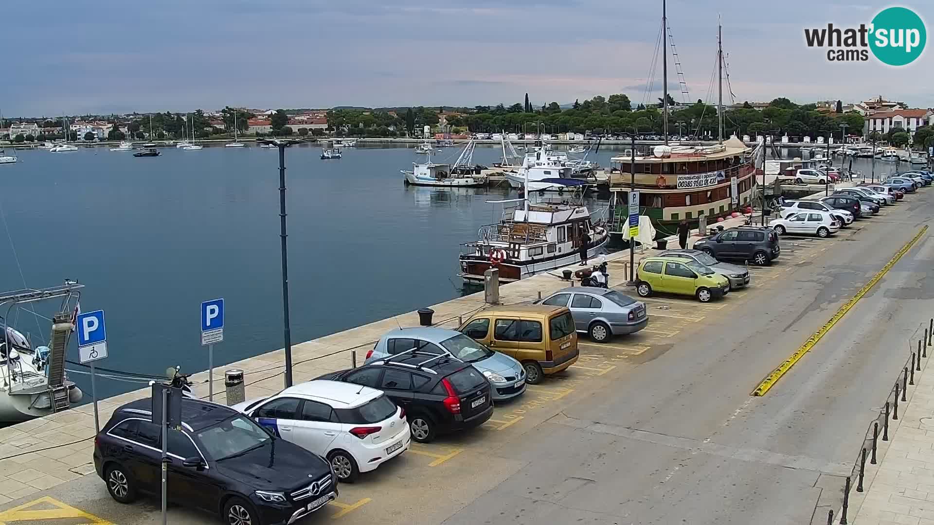 Webcam live Umag – port