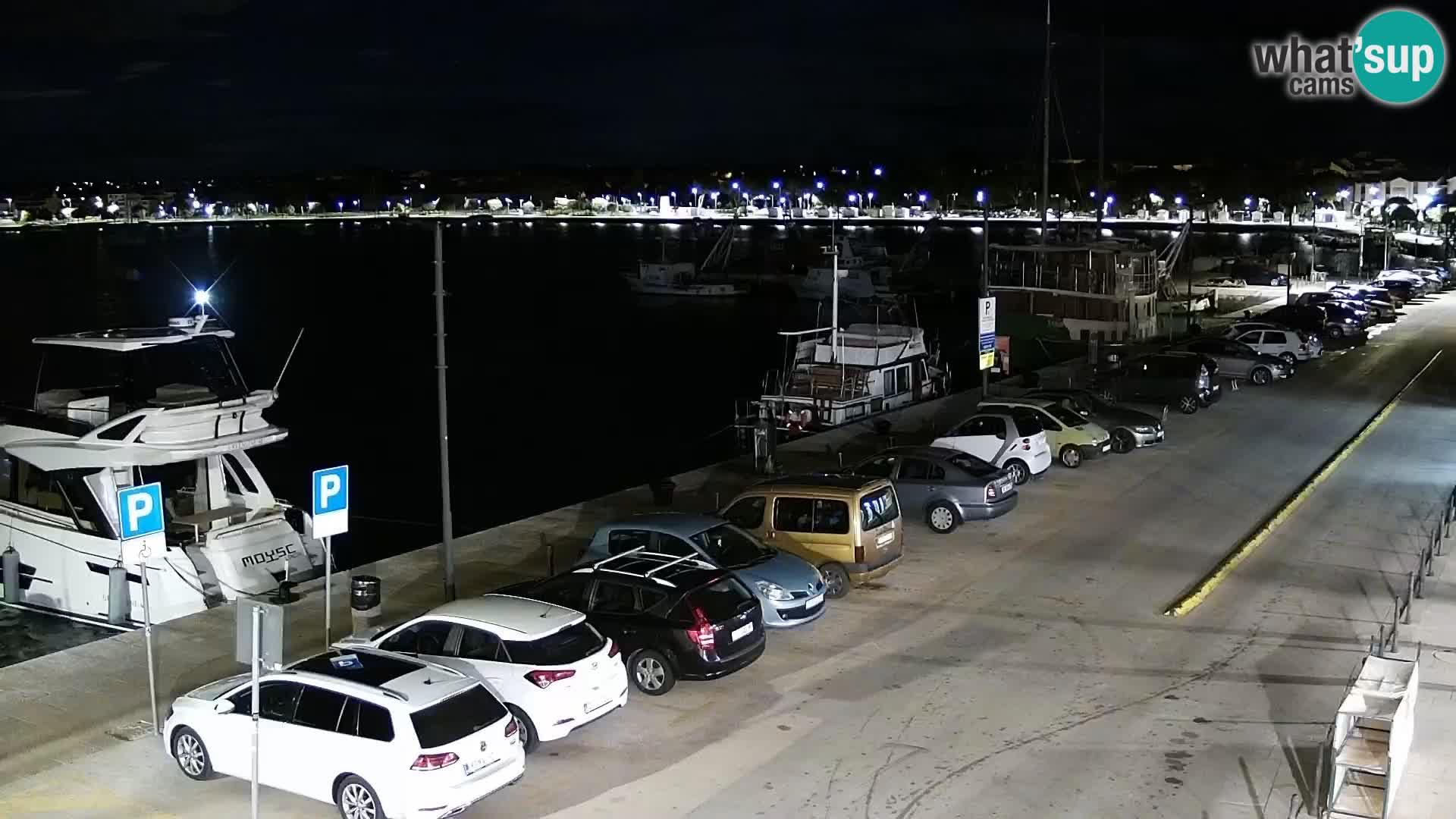 Webcam Umag – Puerto