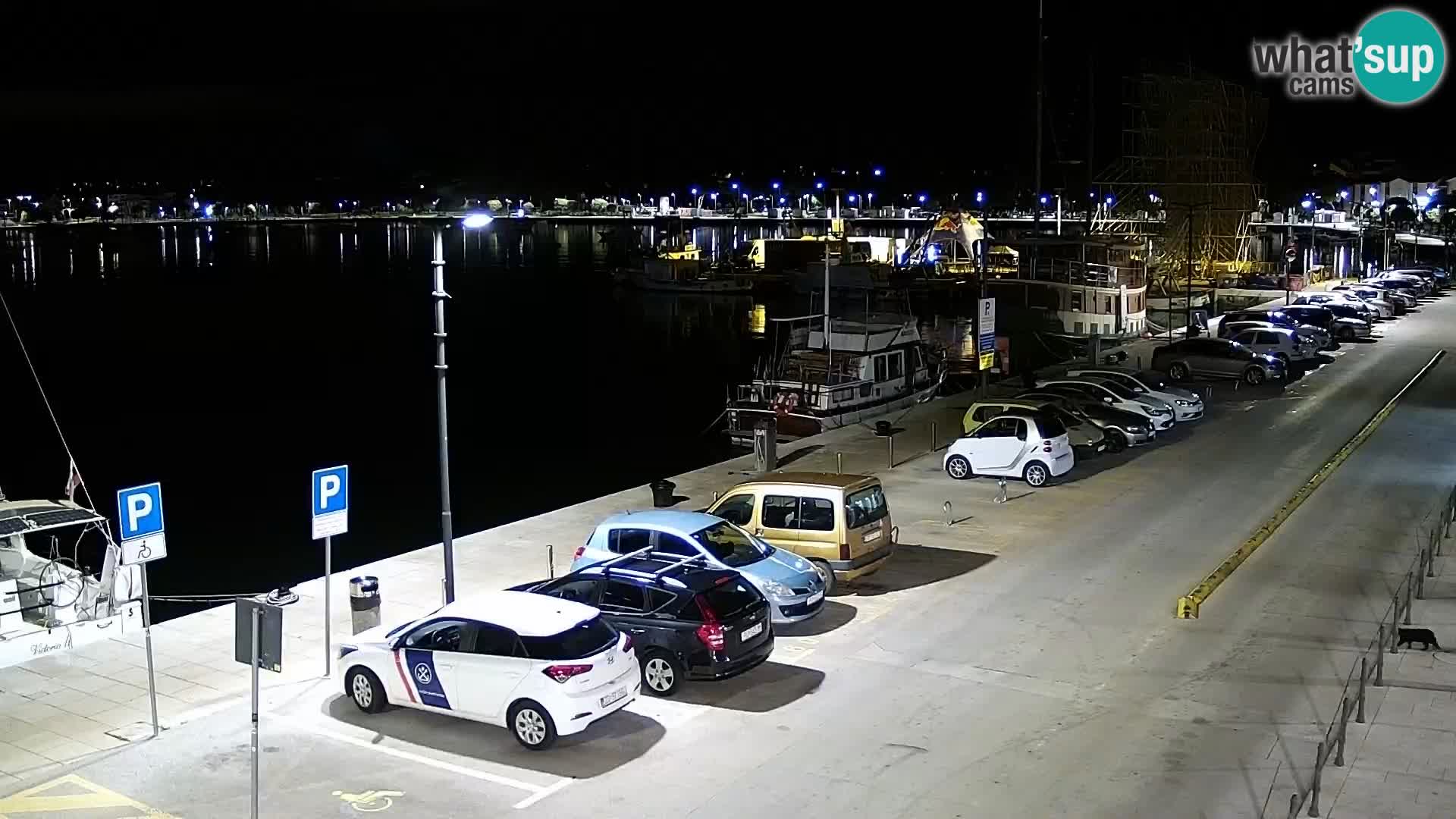 Webcam Umag – Puerto