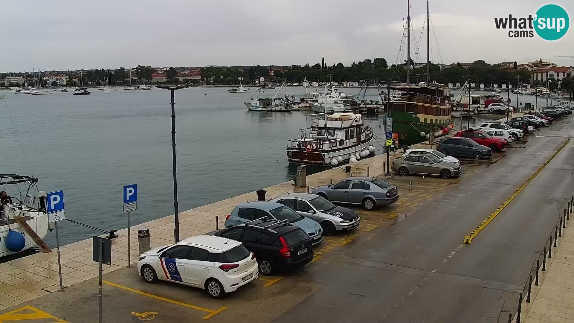 Trg Svobode – Kamera u živo Umag