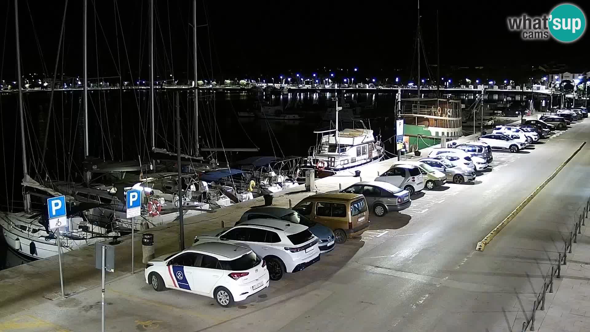 Webcam live Umag – Hafen