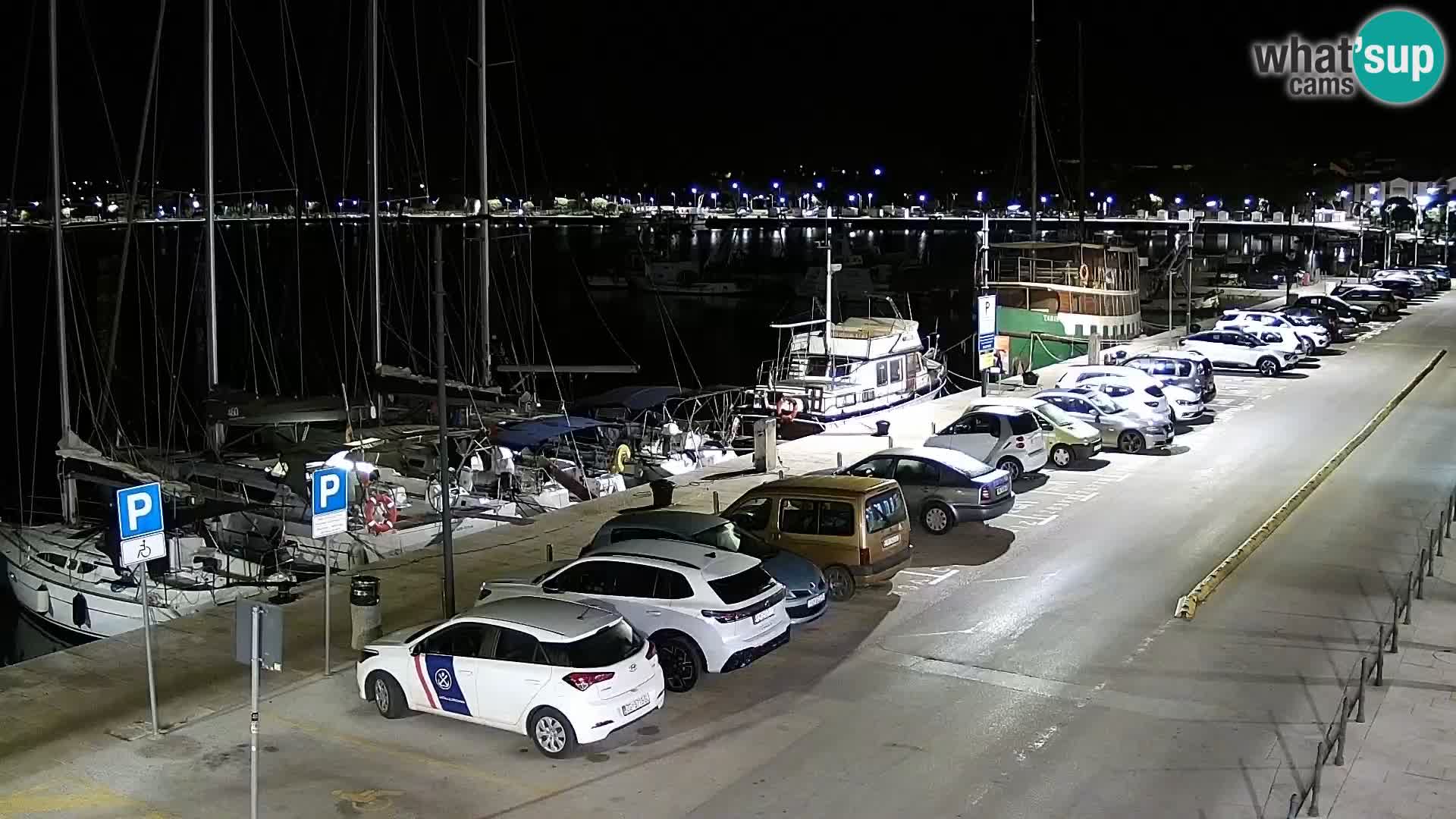 Webcam Umag – Puerto