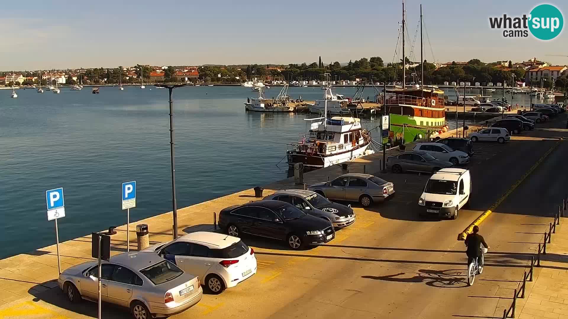 Webcam live Umag – Hafen