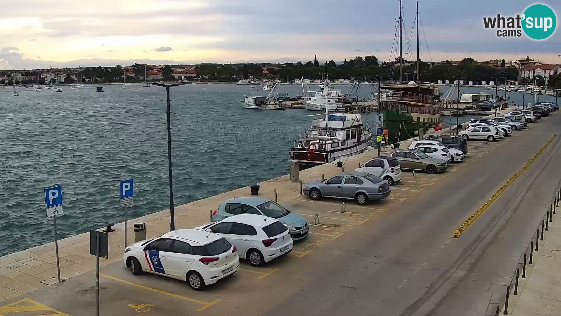 Trg Svobode – Kamera u živo Umag