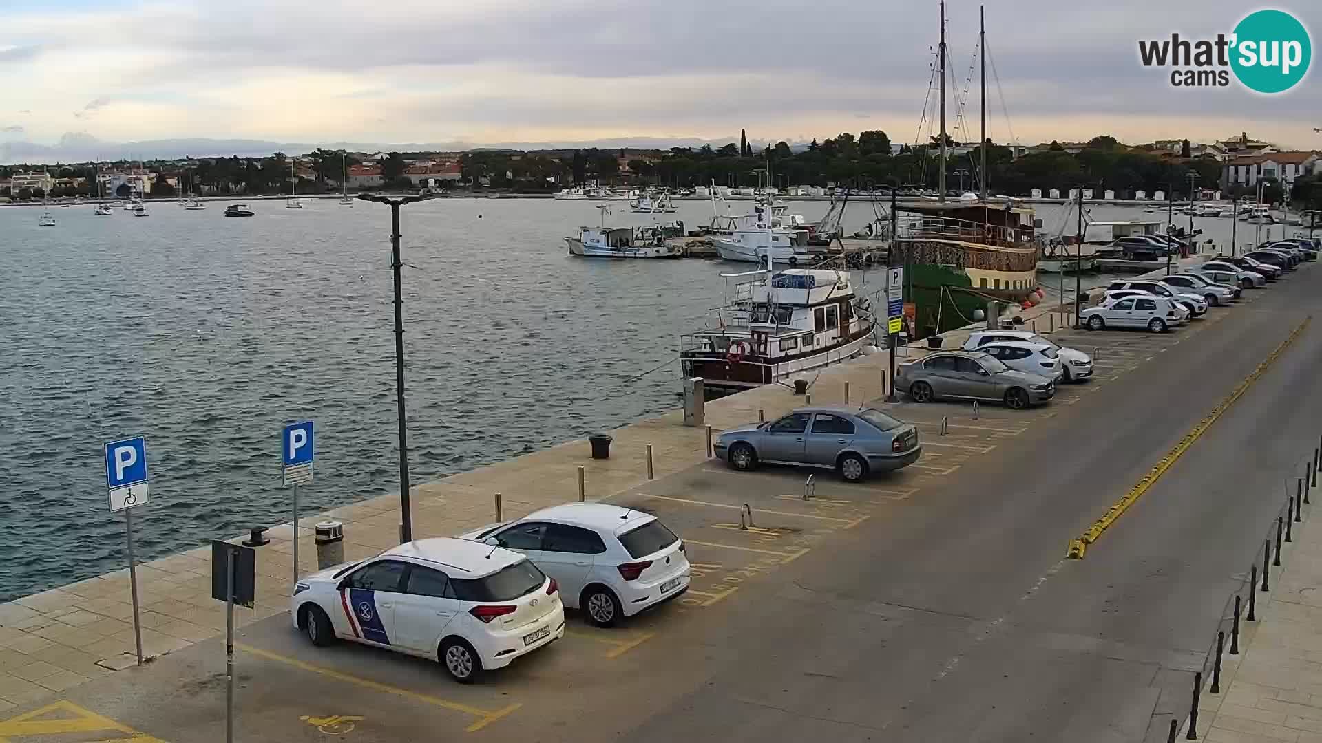 Webcam Umag – Puerto