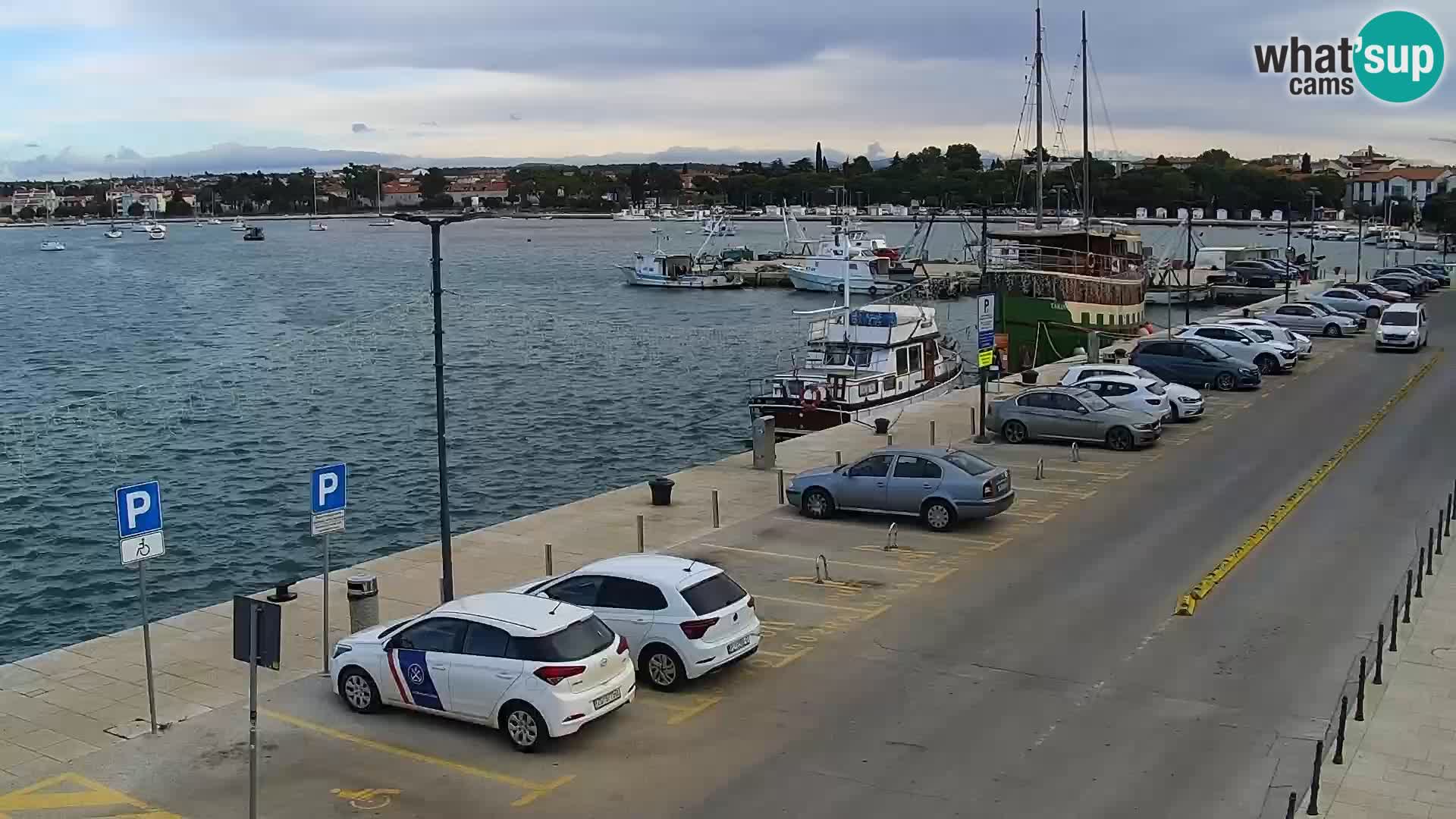 Webcam Umag – Puerto