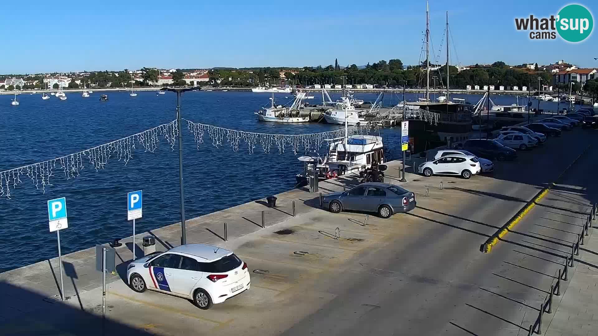 Trg Svobode – Kamera v živo Umag