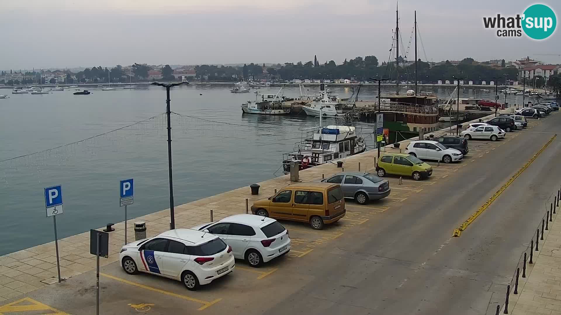 Trg Svobode – Kamera u živo Umag