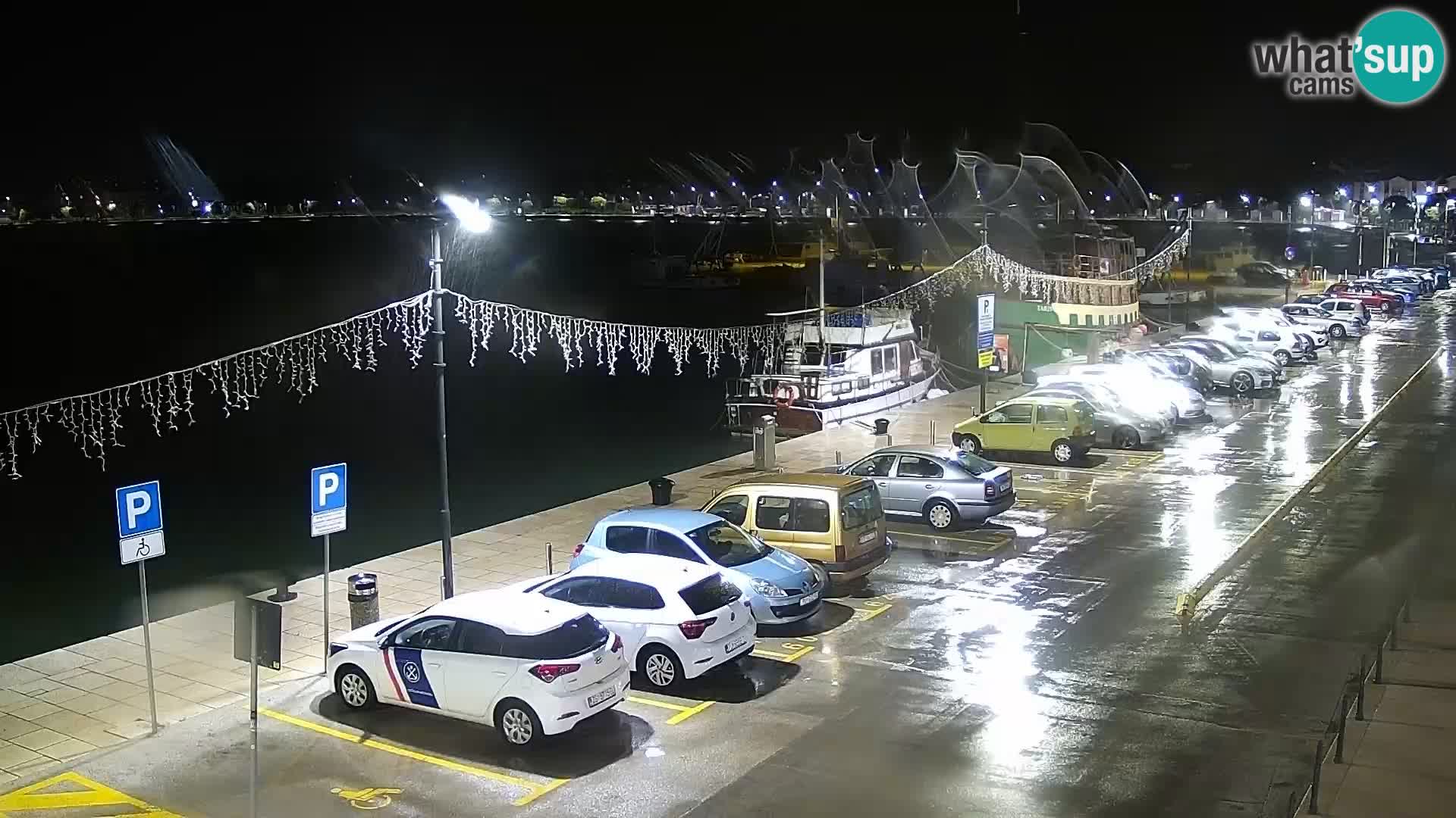 Webcam Umag – Puerto