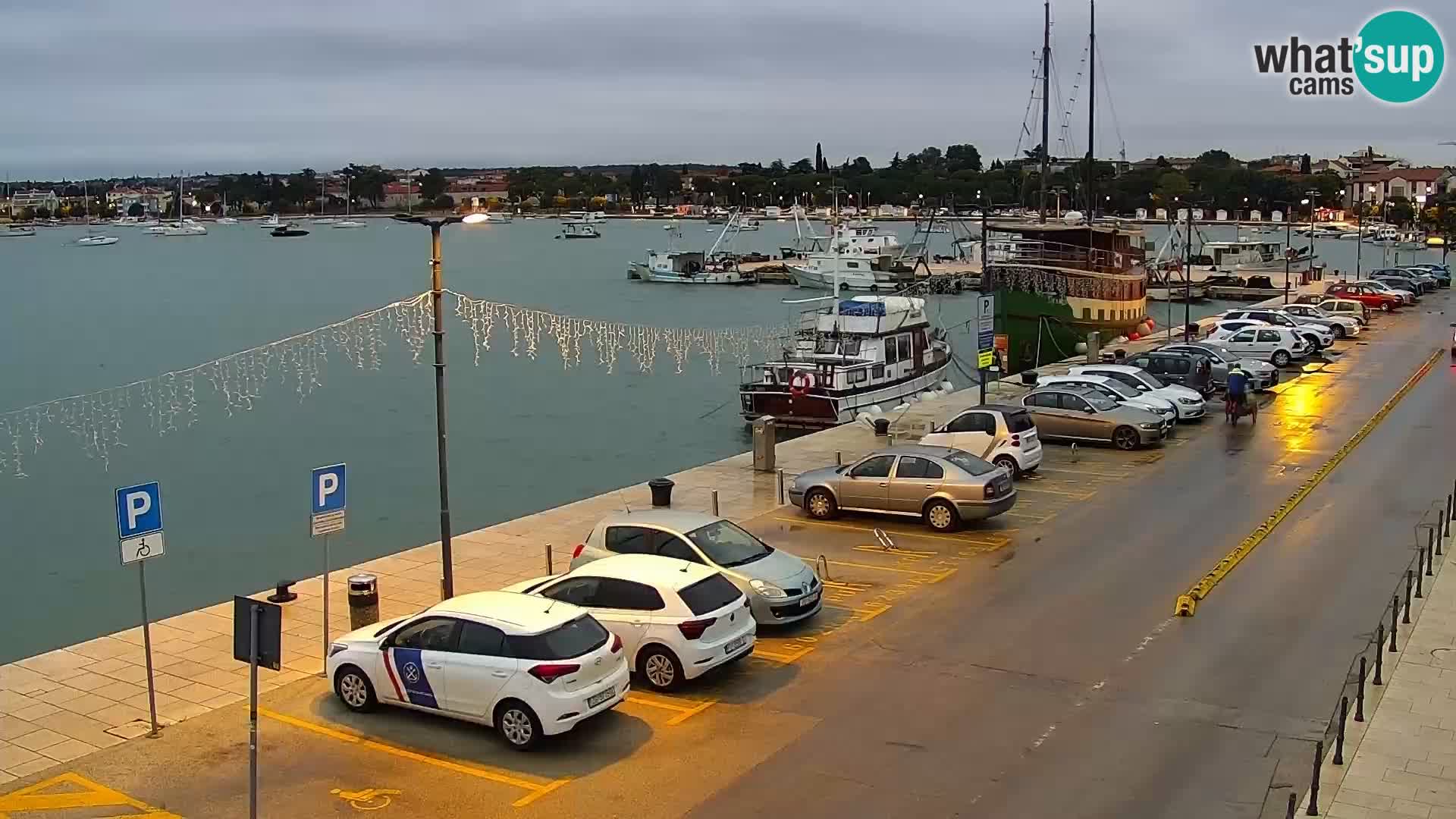 Webcam Umag – Puerto