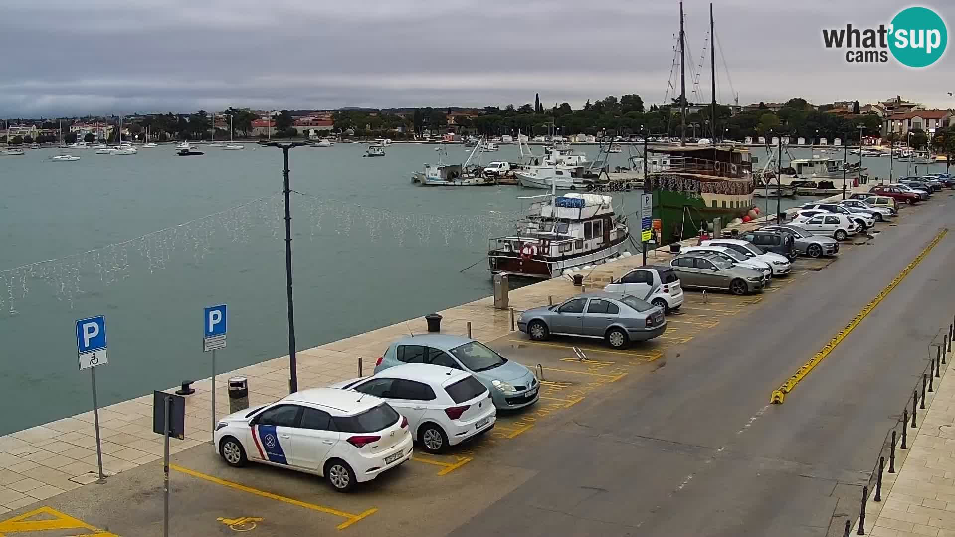 Webcam Umag – Puerto