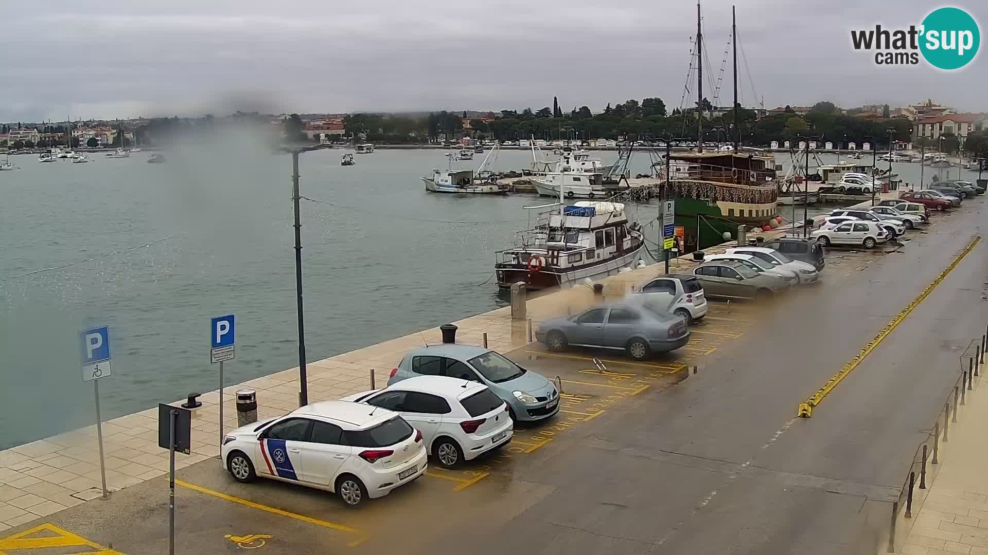 Webcam live Umag – Hafen