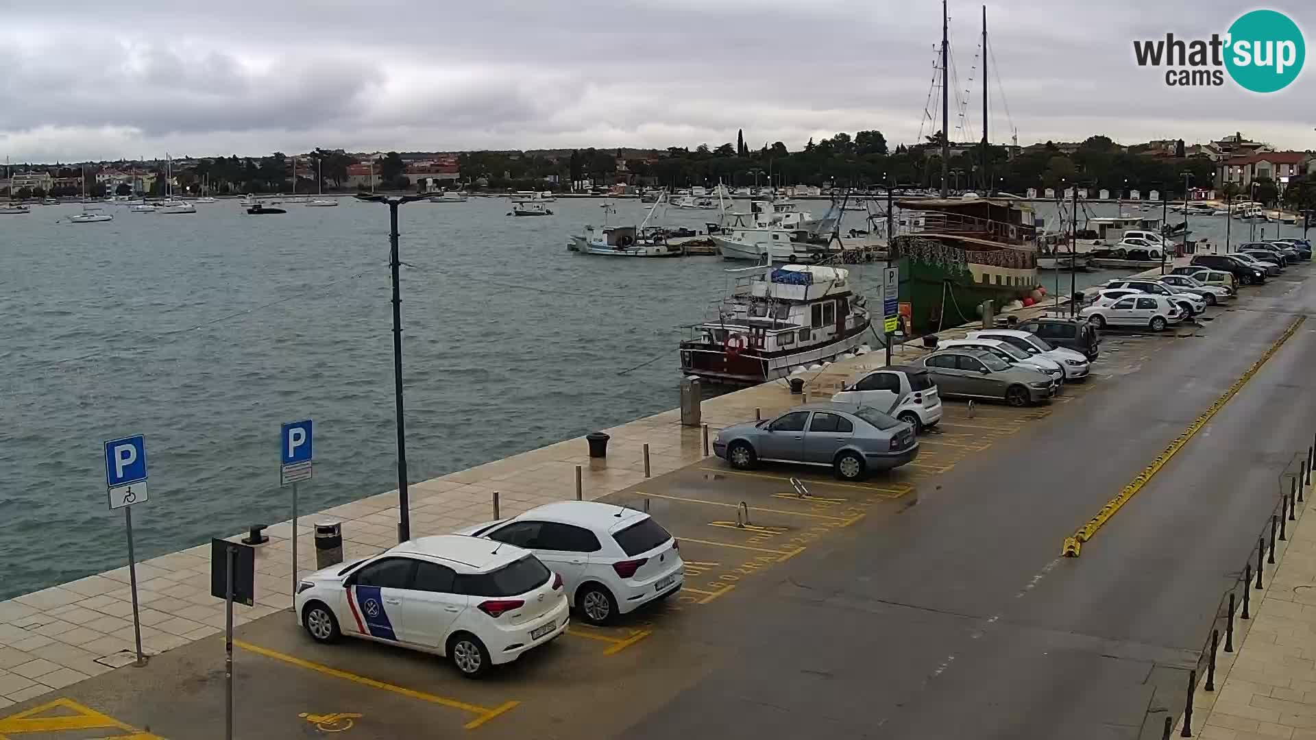 Webcam Umag – Puerto