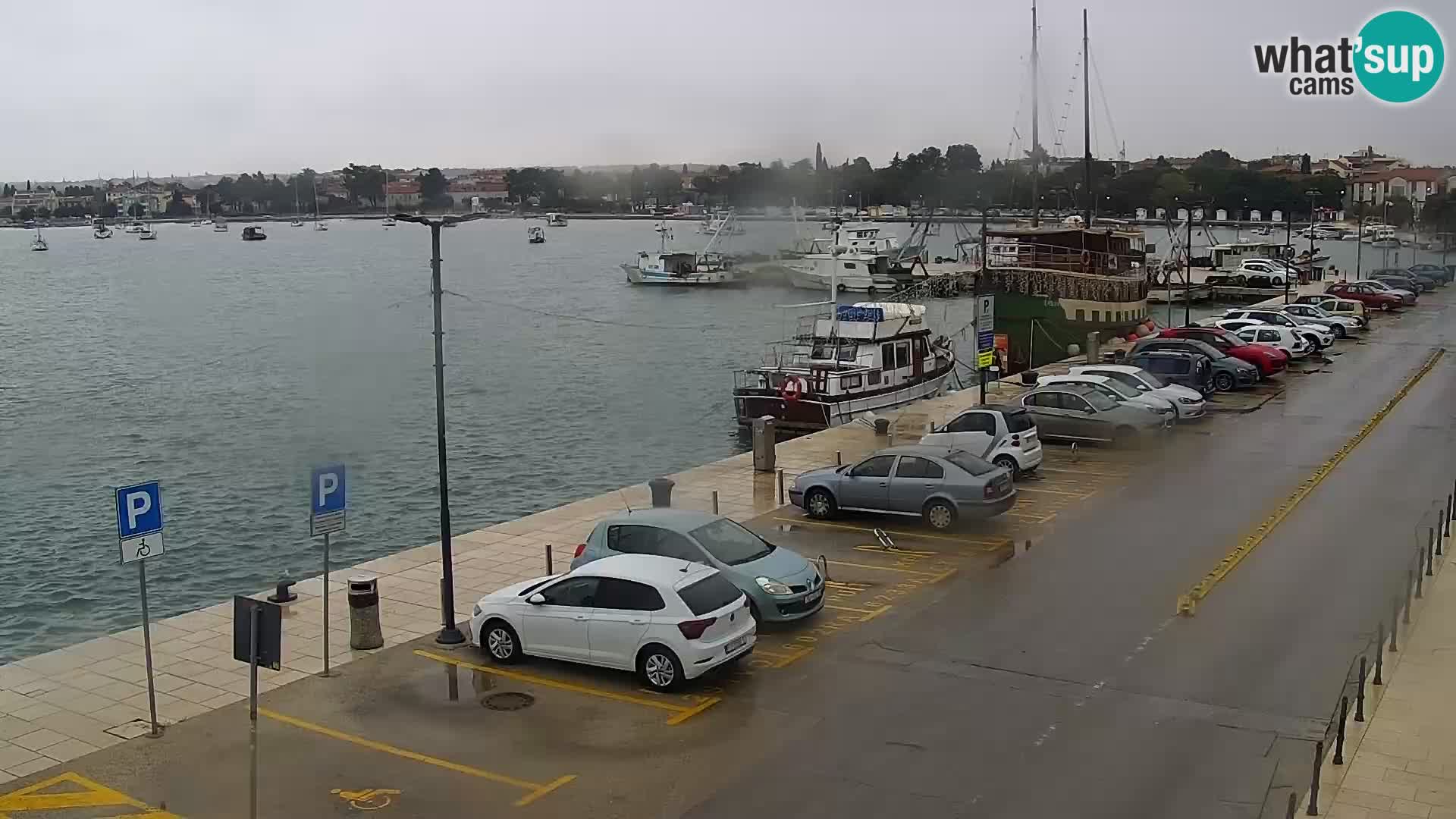 Webcam live Umag – Hafen