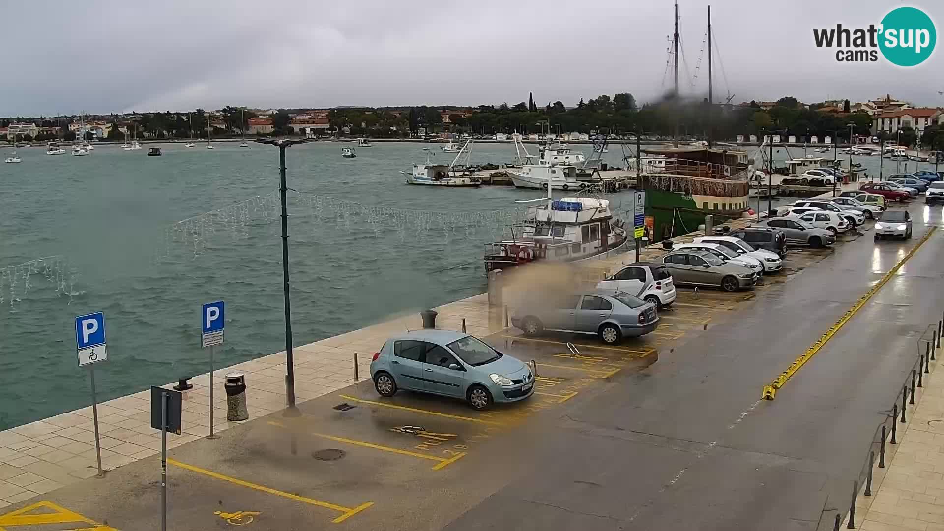 Webcam Umag – Puerto