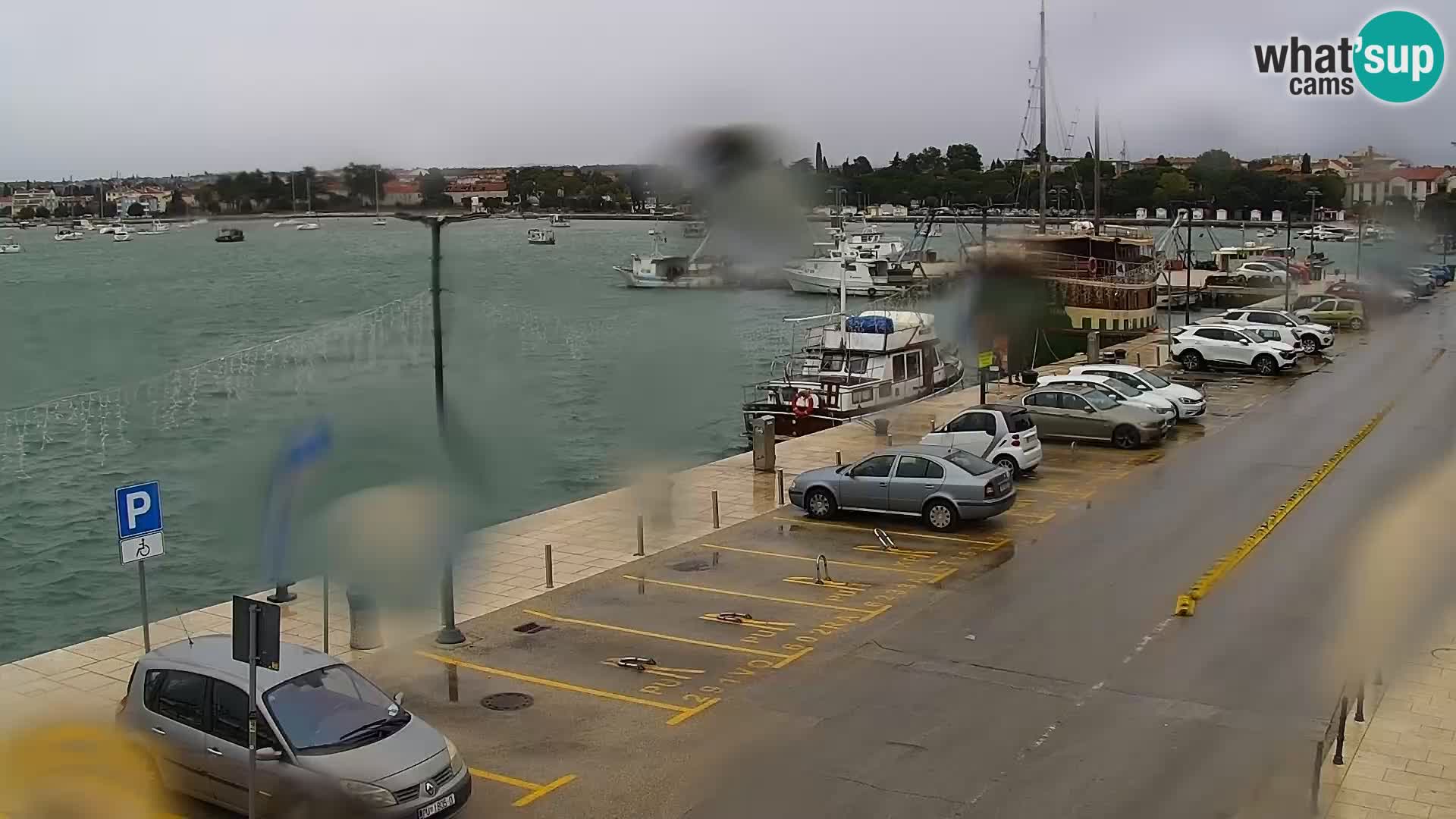 Webcam Umag – Puerto