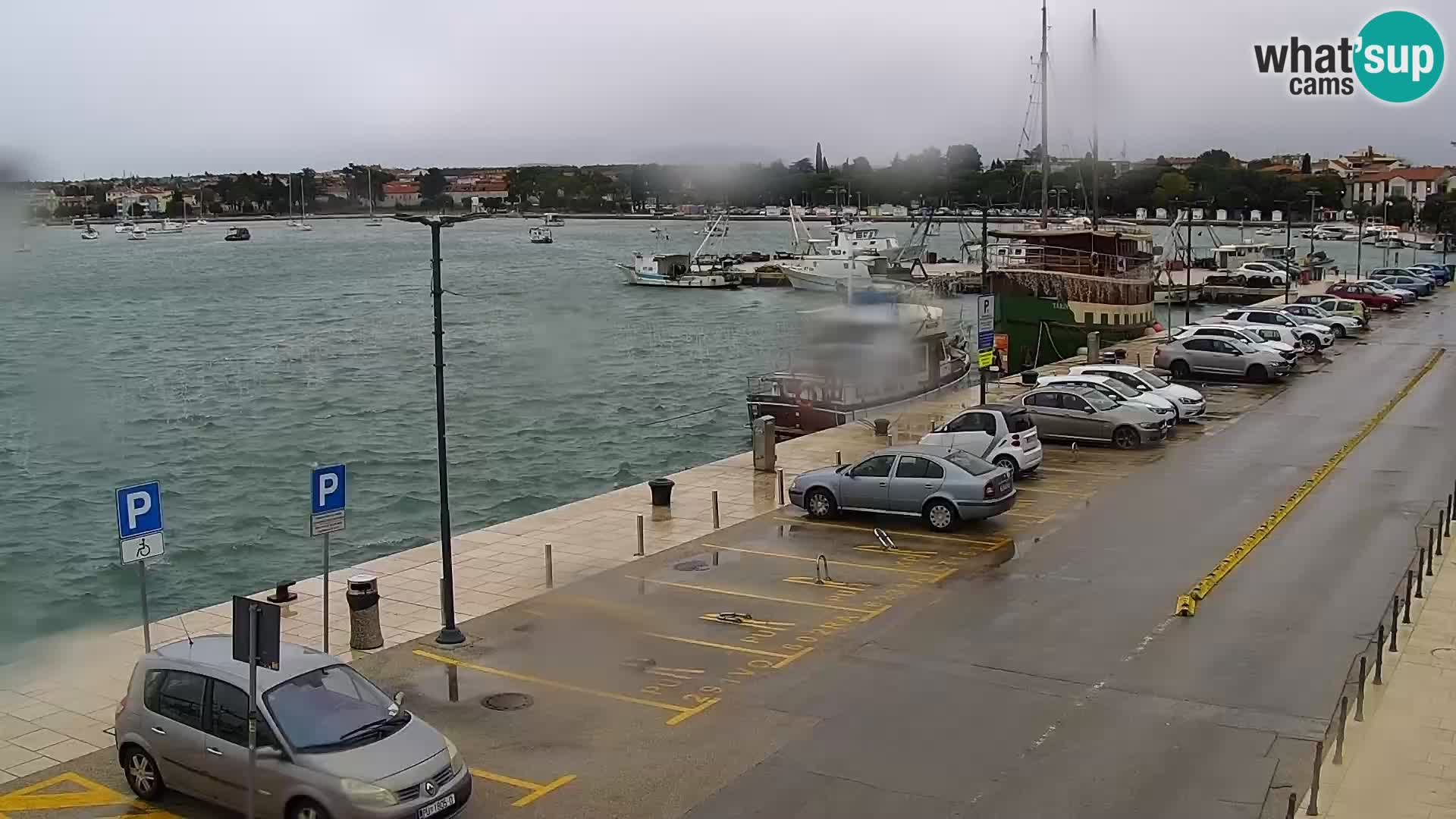 Webcam live Umag – Hafen