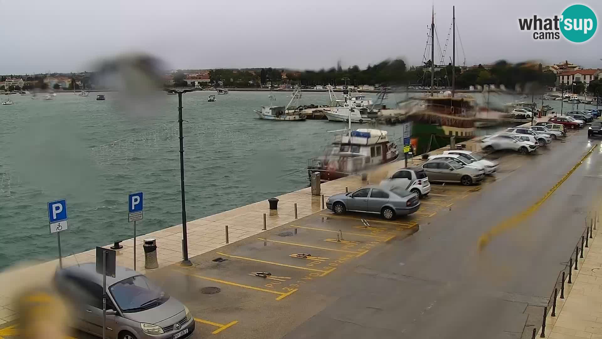 Webcam live Umag – Hafen